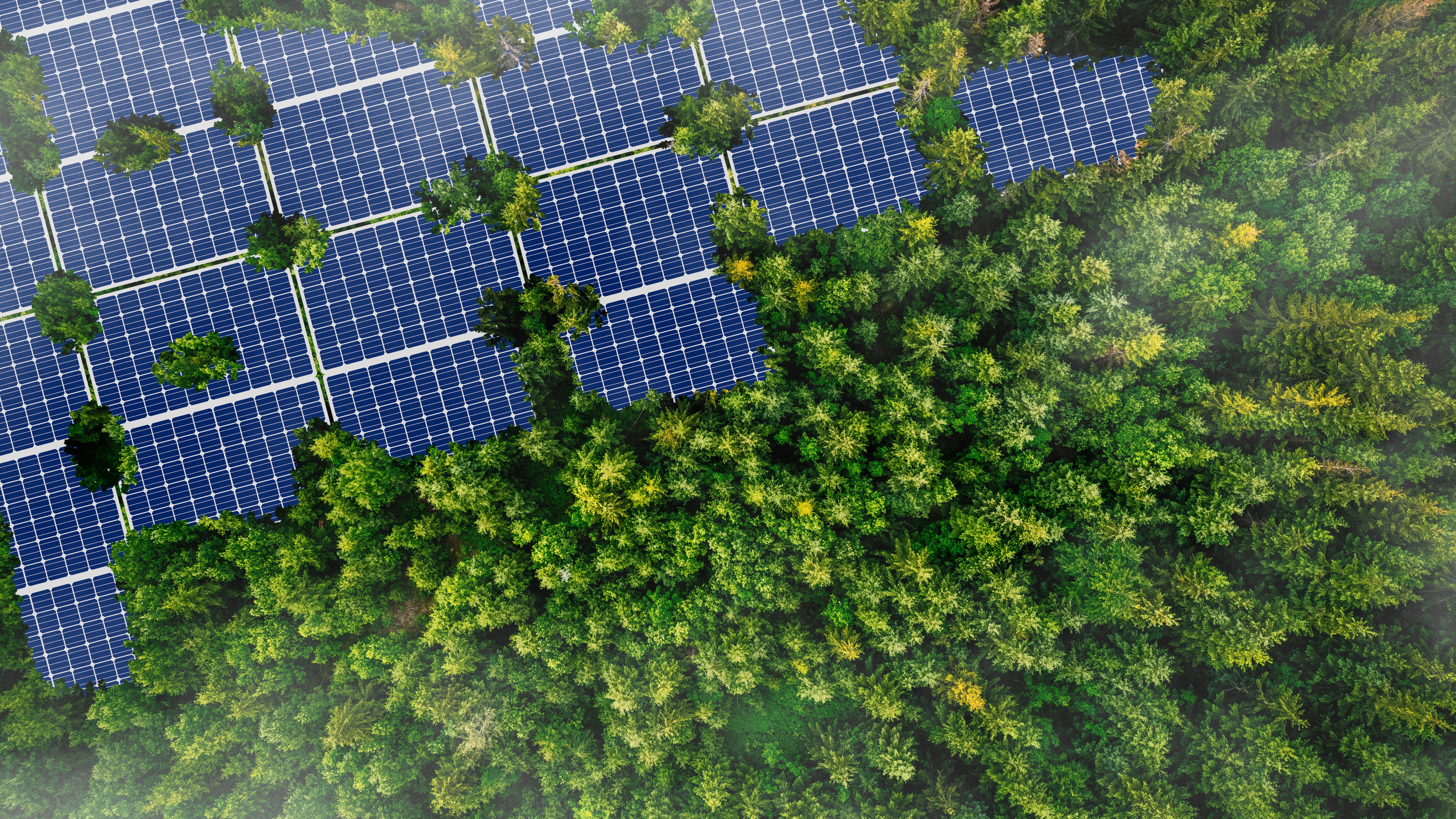 solar panels result