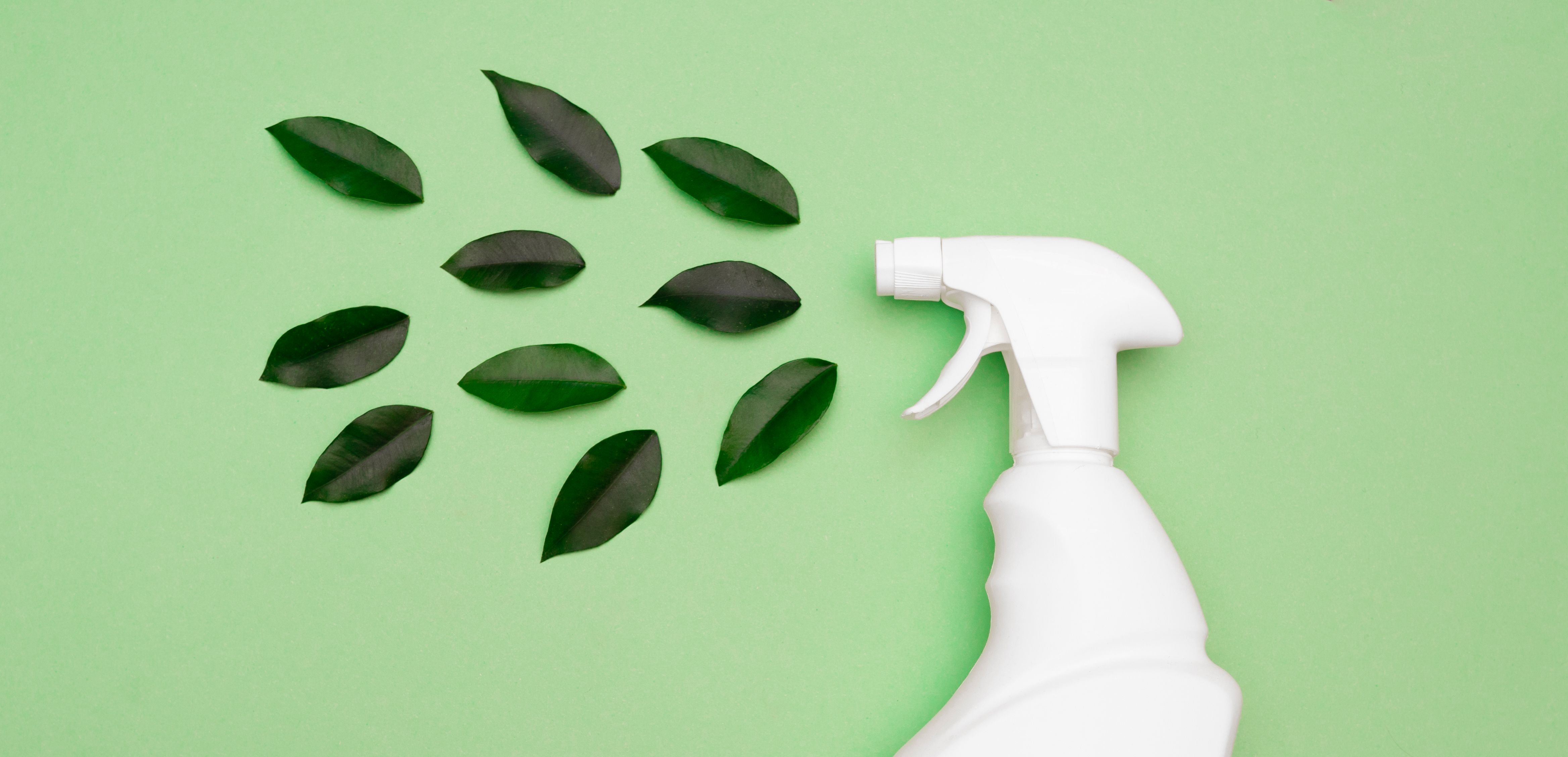 green cleaning myths