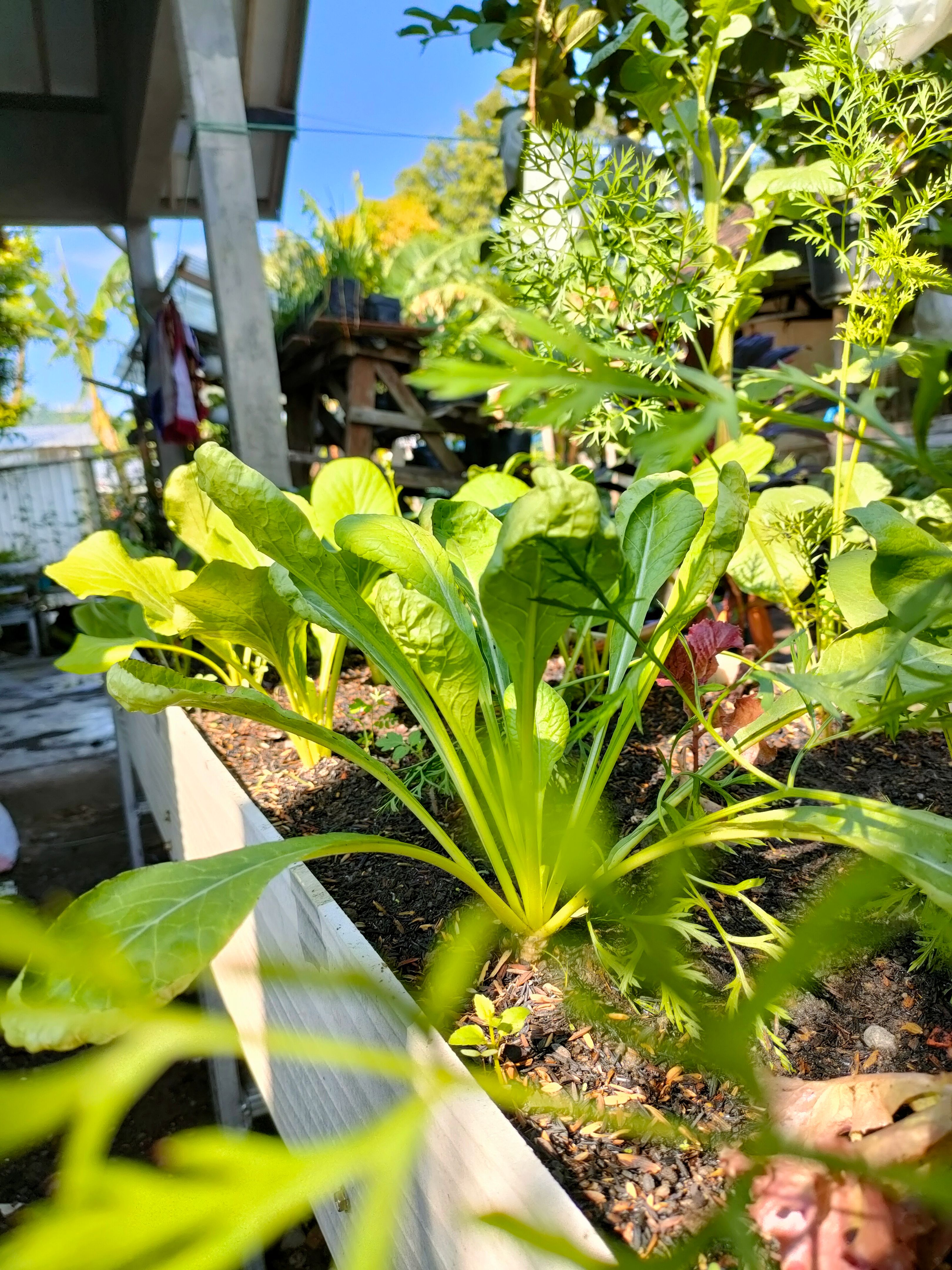 new jersey healthcare