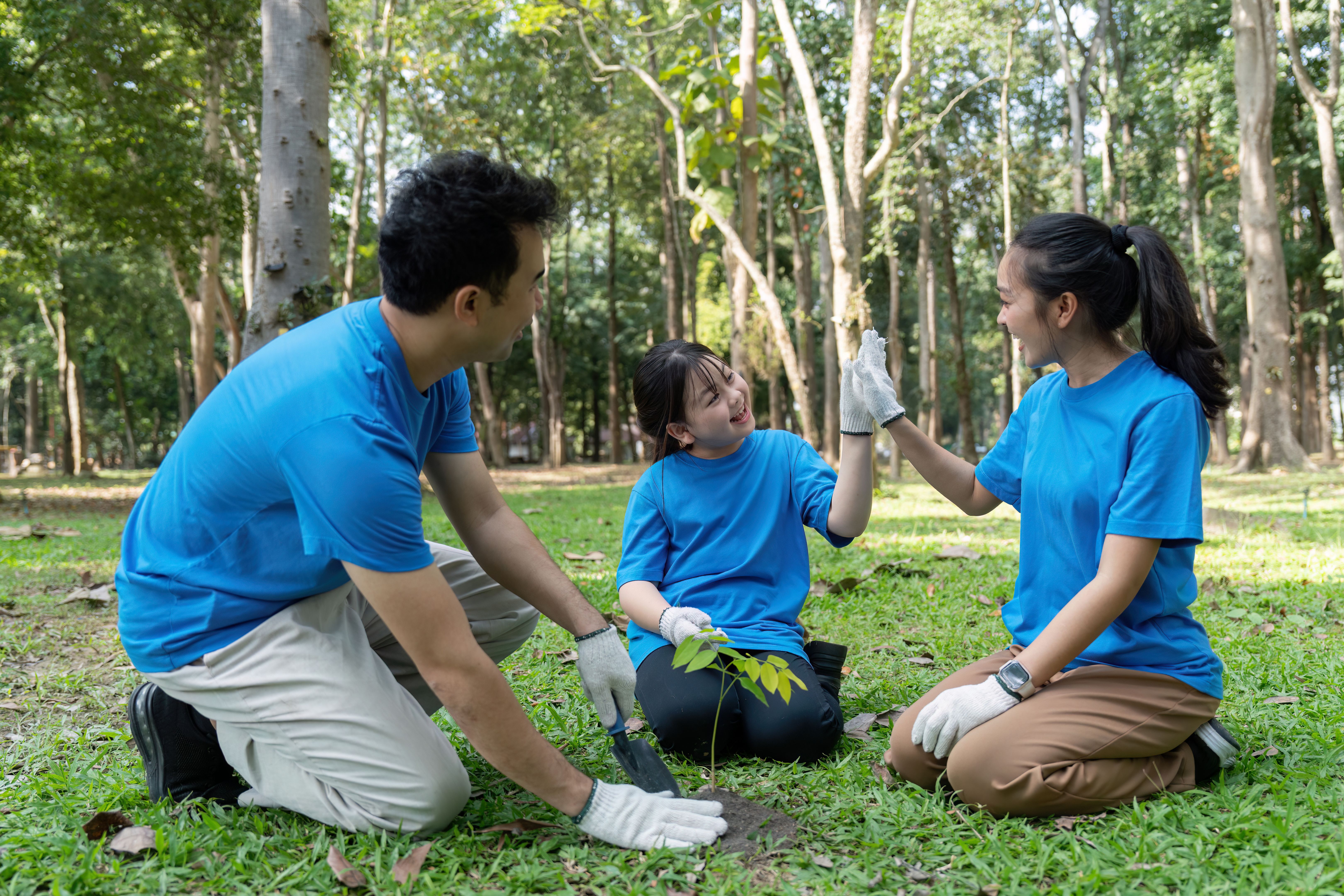 volunteering effort