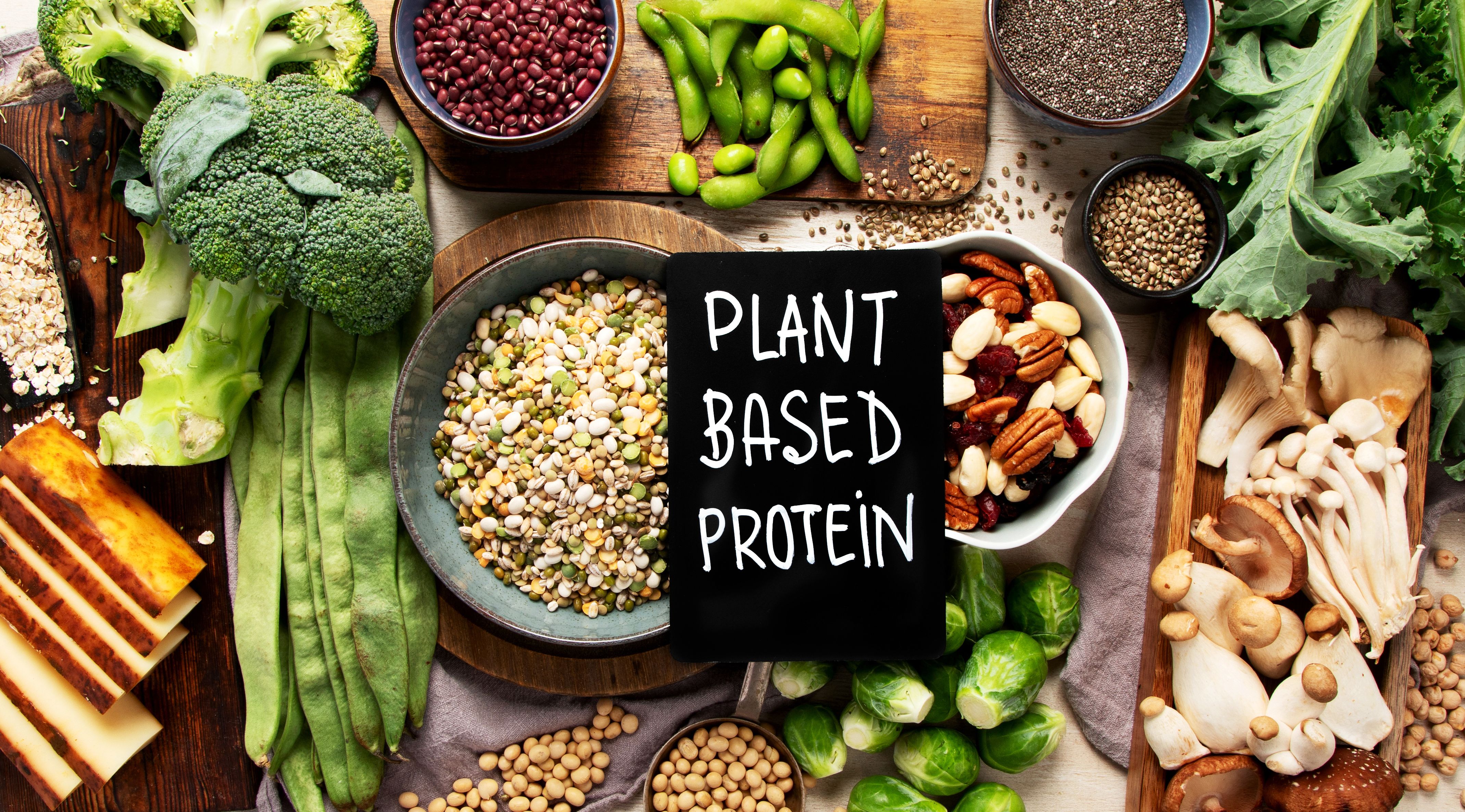 vegan protein sources