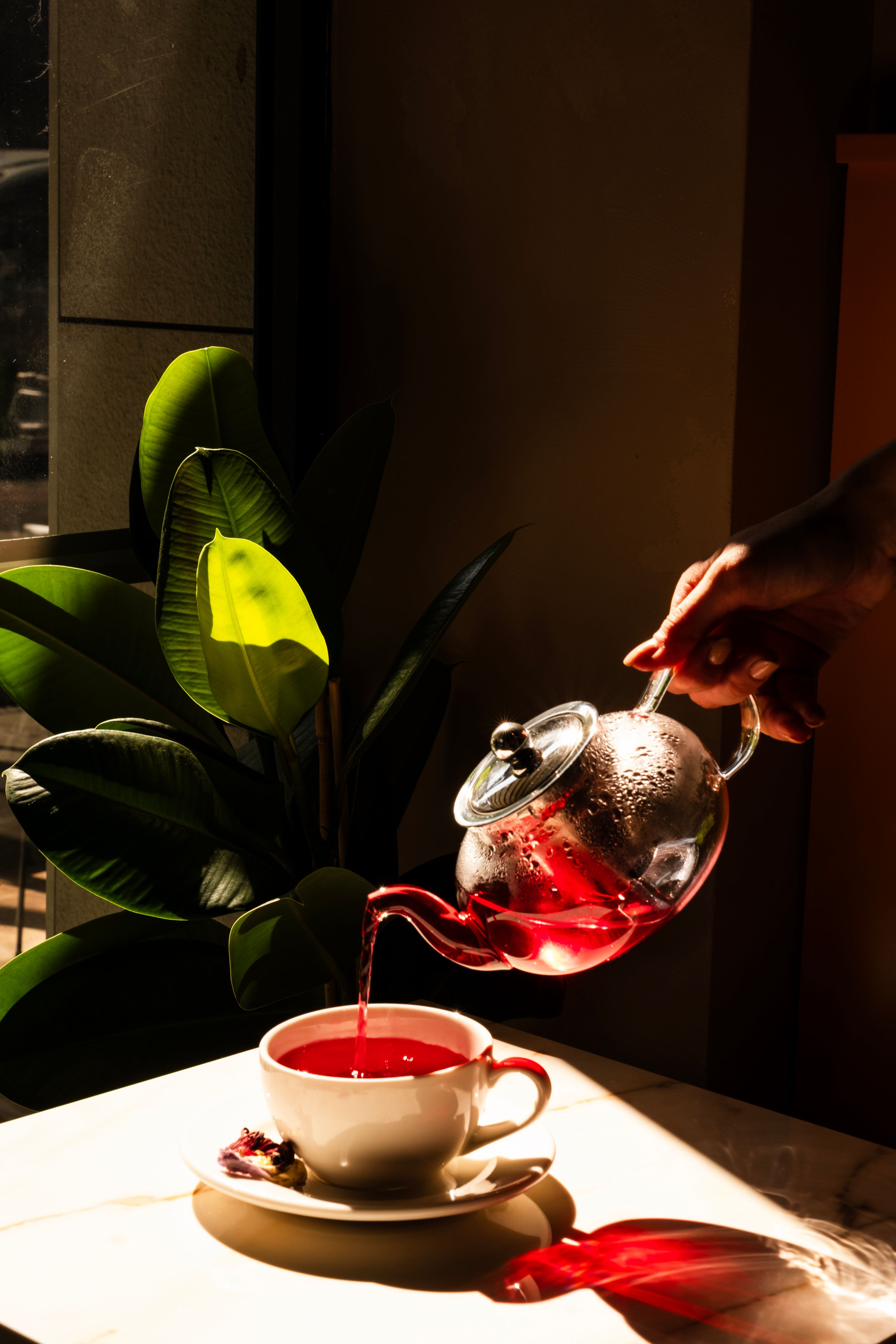 Herbal Tea In Pot With Empty Tea Cup