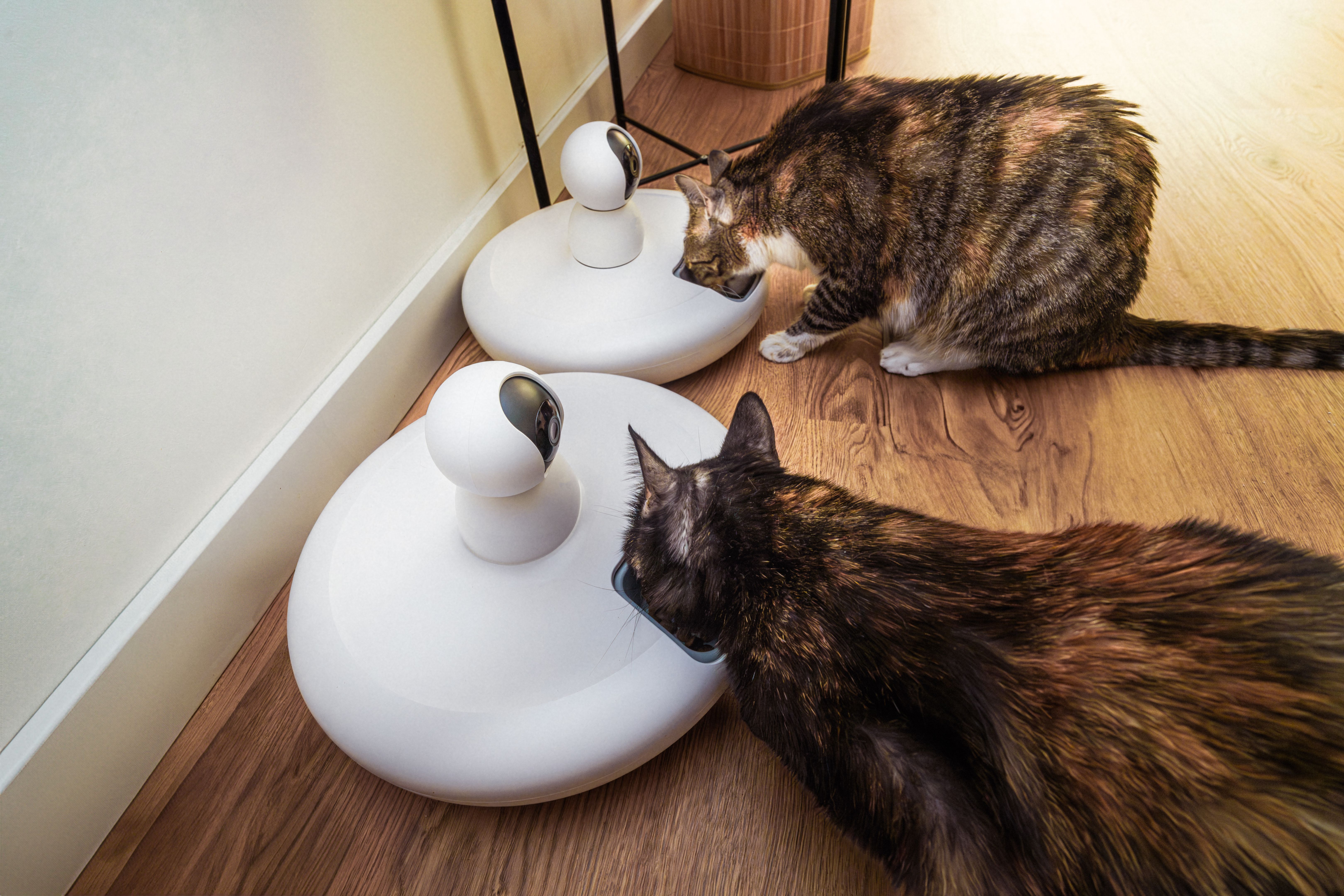 pet technology