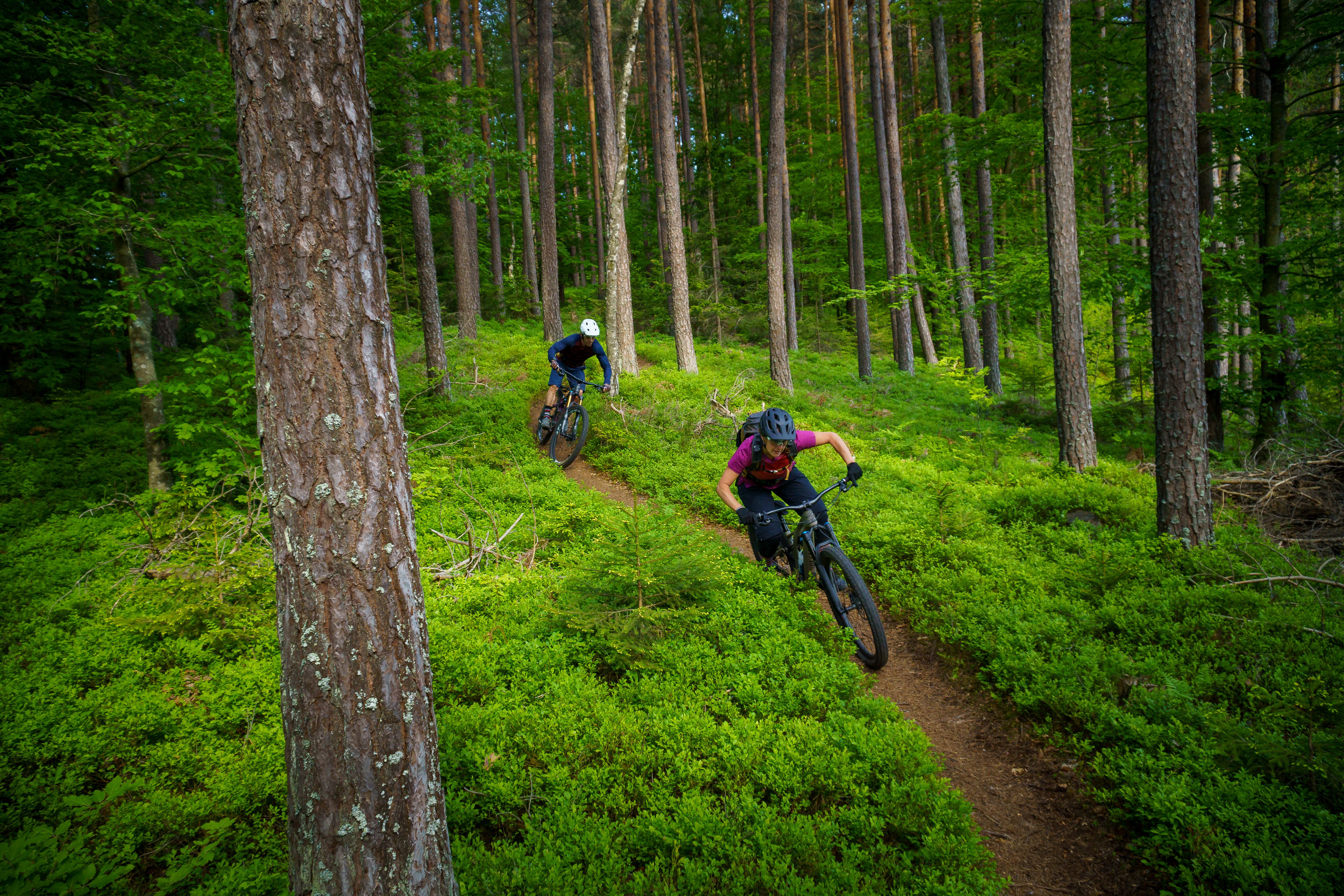 mountain biking