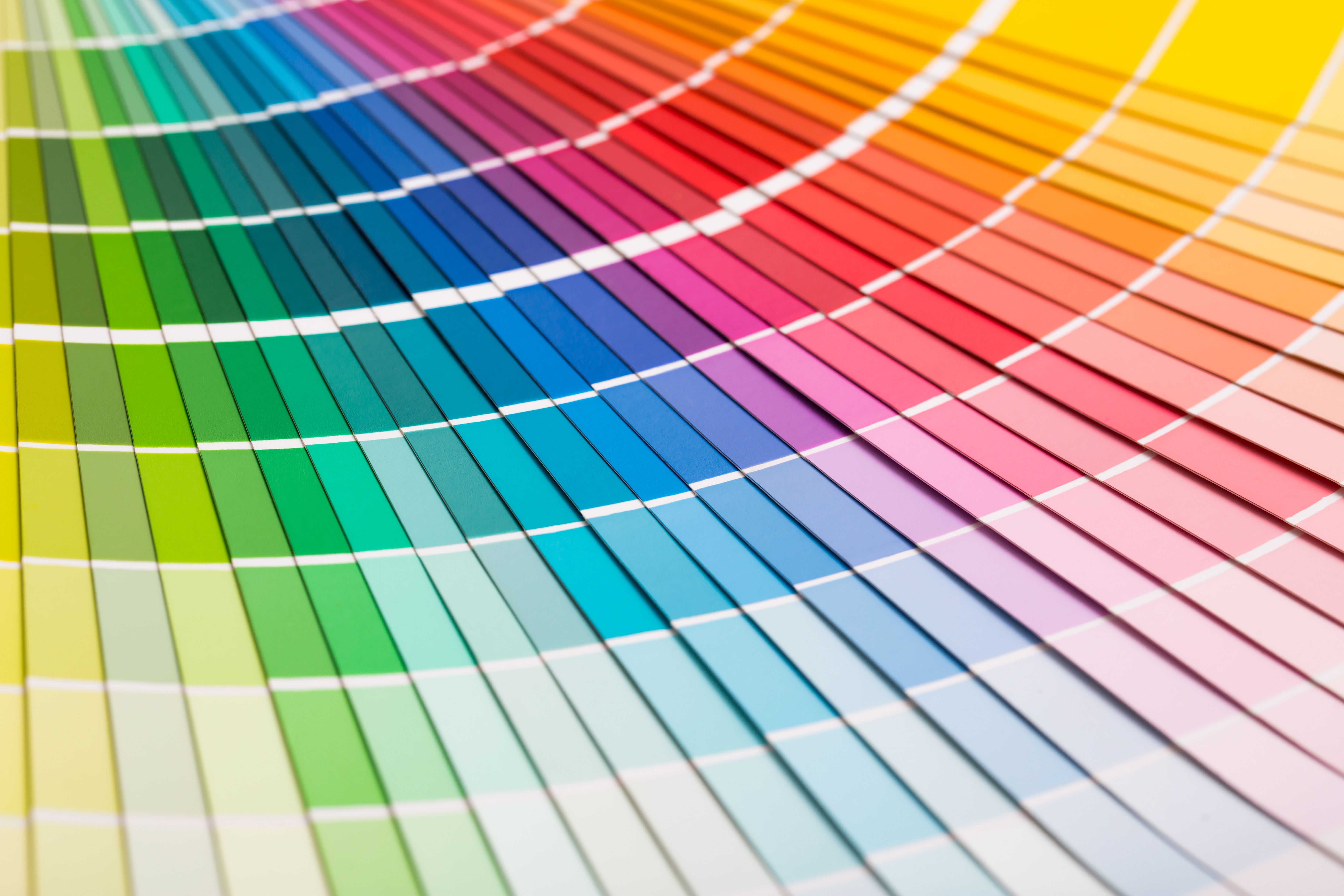 color options