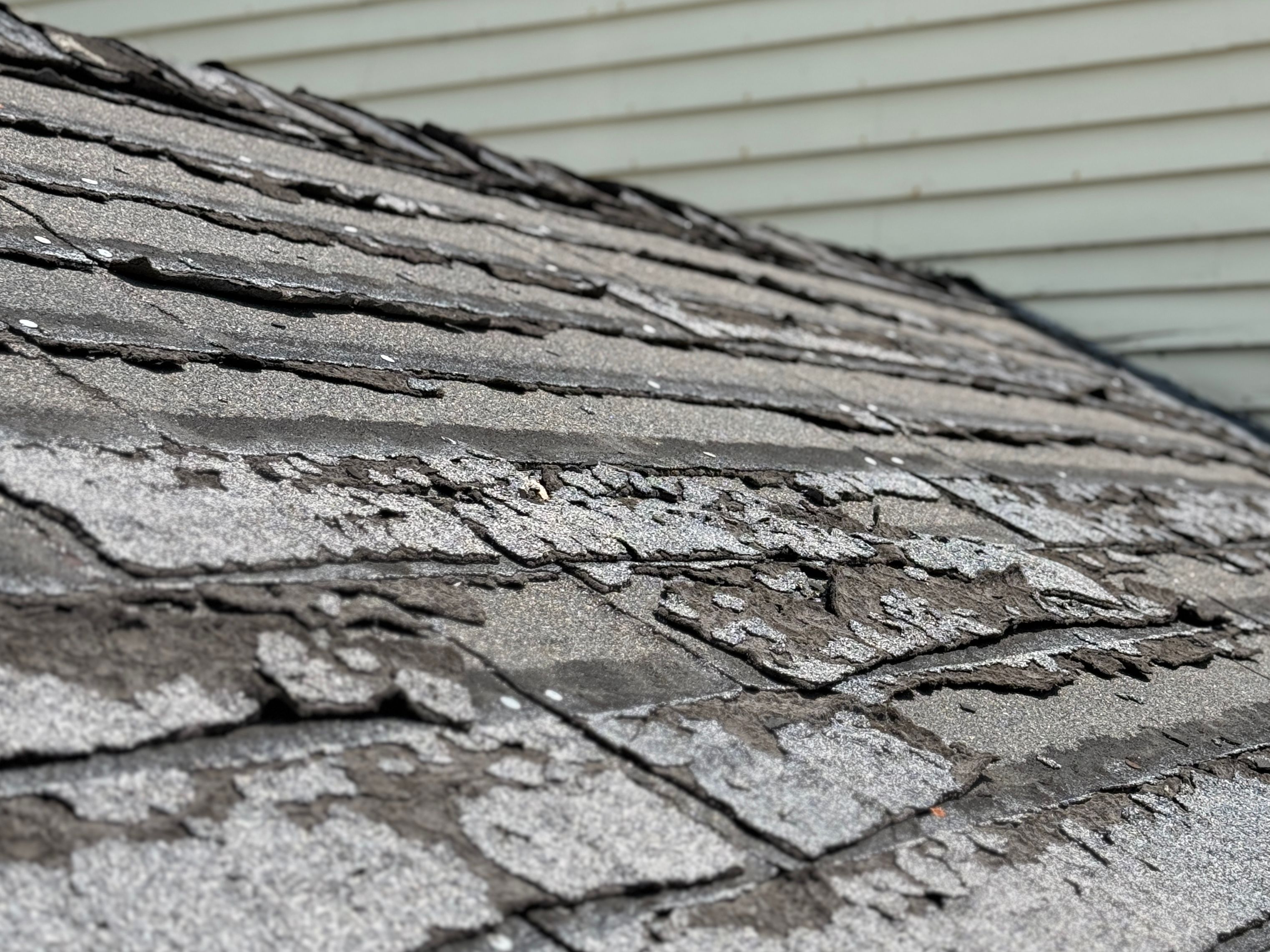 storm damaged roof