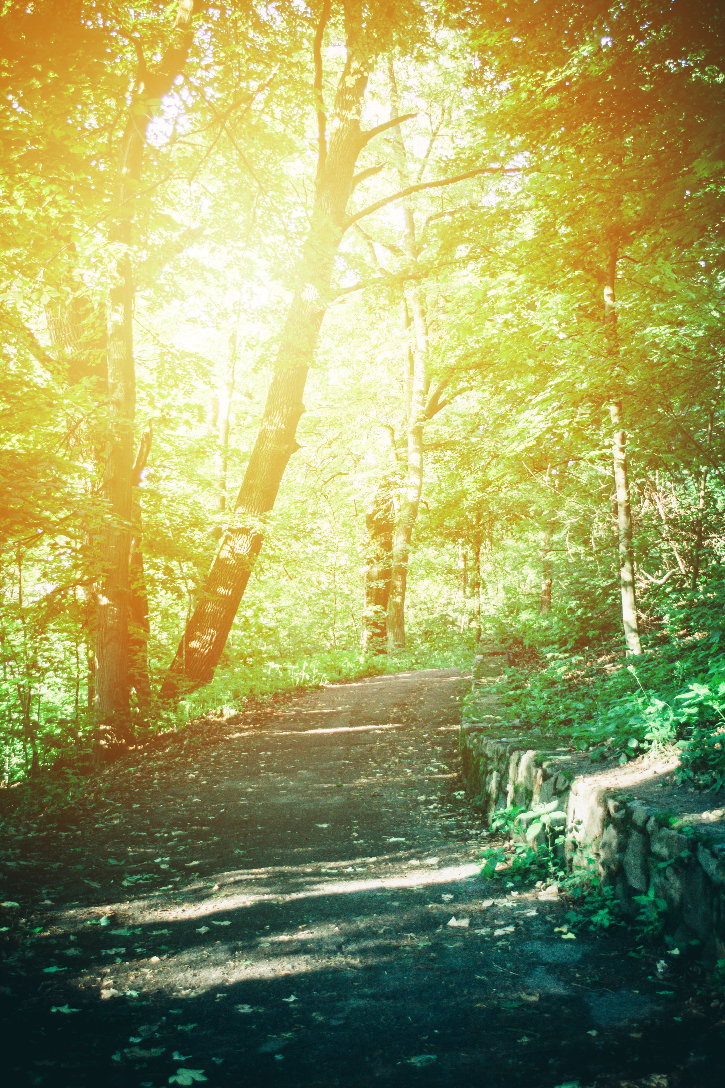 woodland hills weather