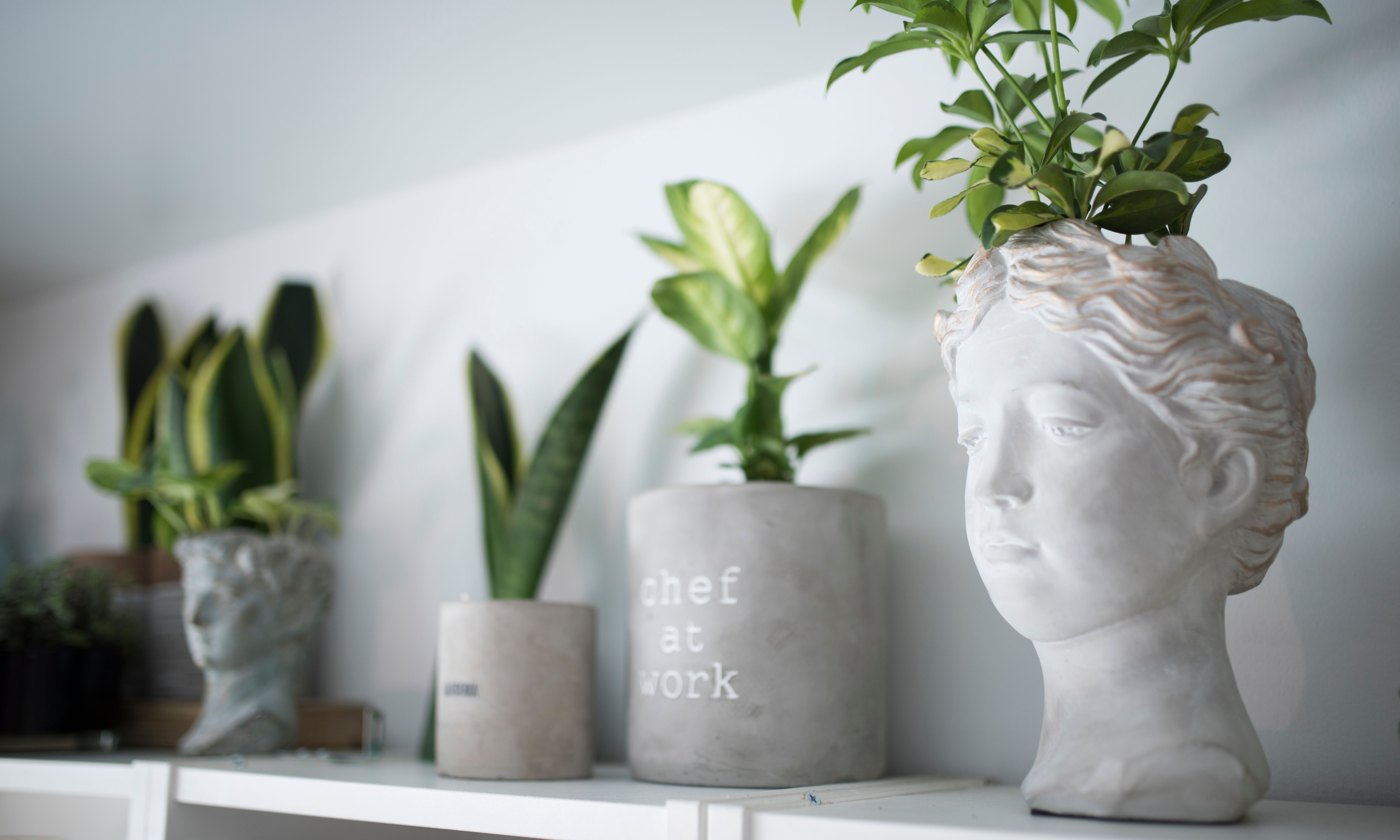 nature elements interior