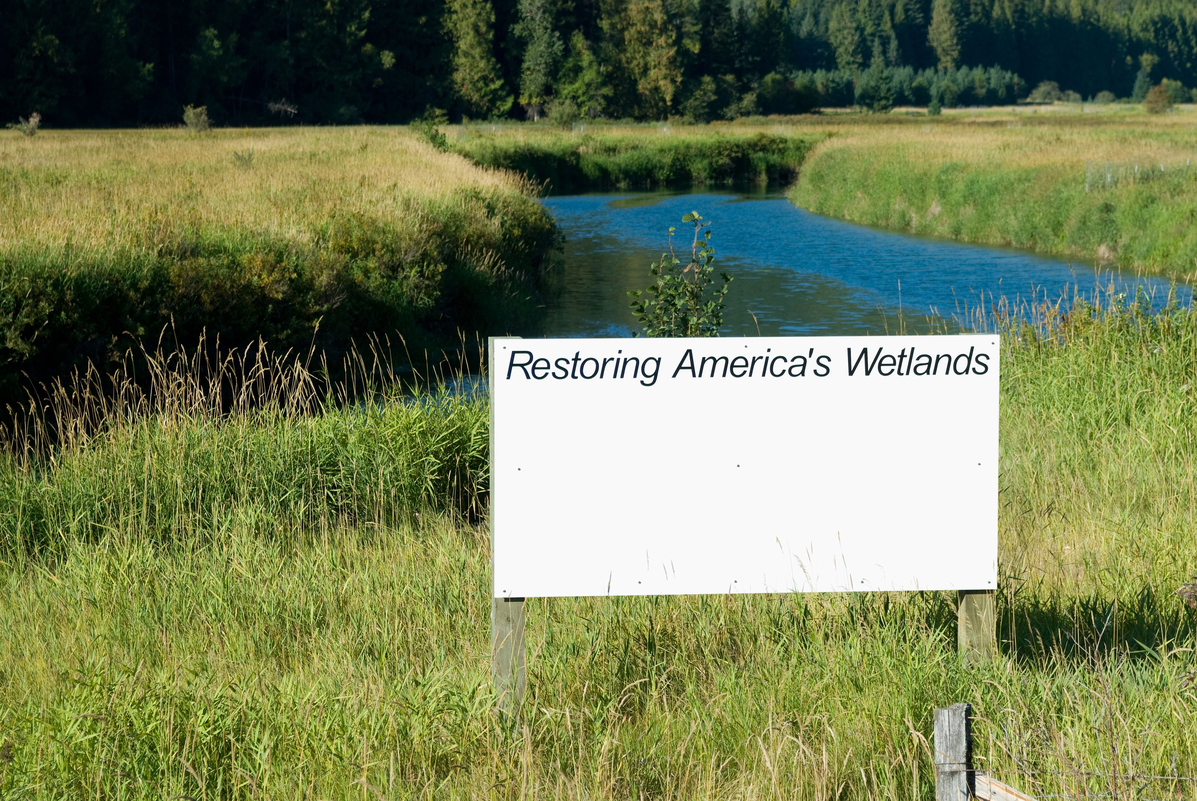 wetland restoration