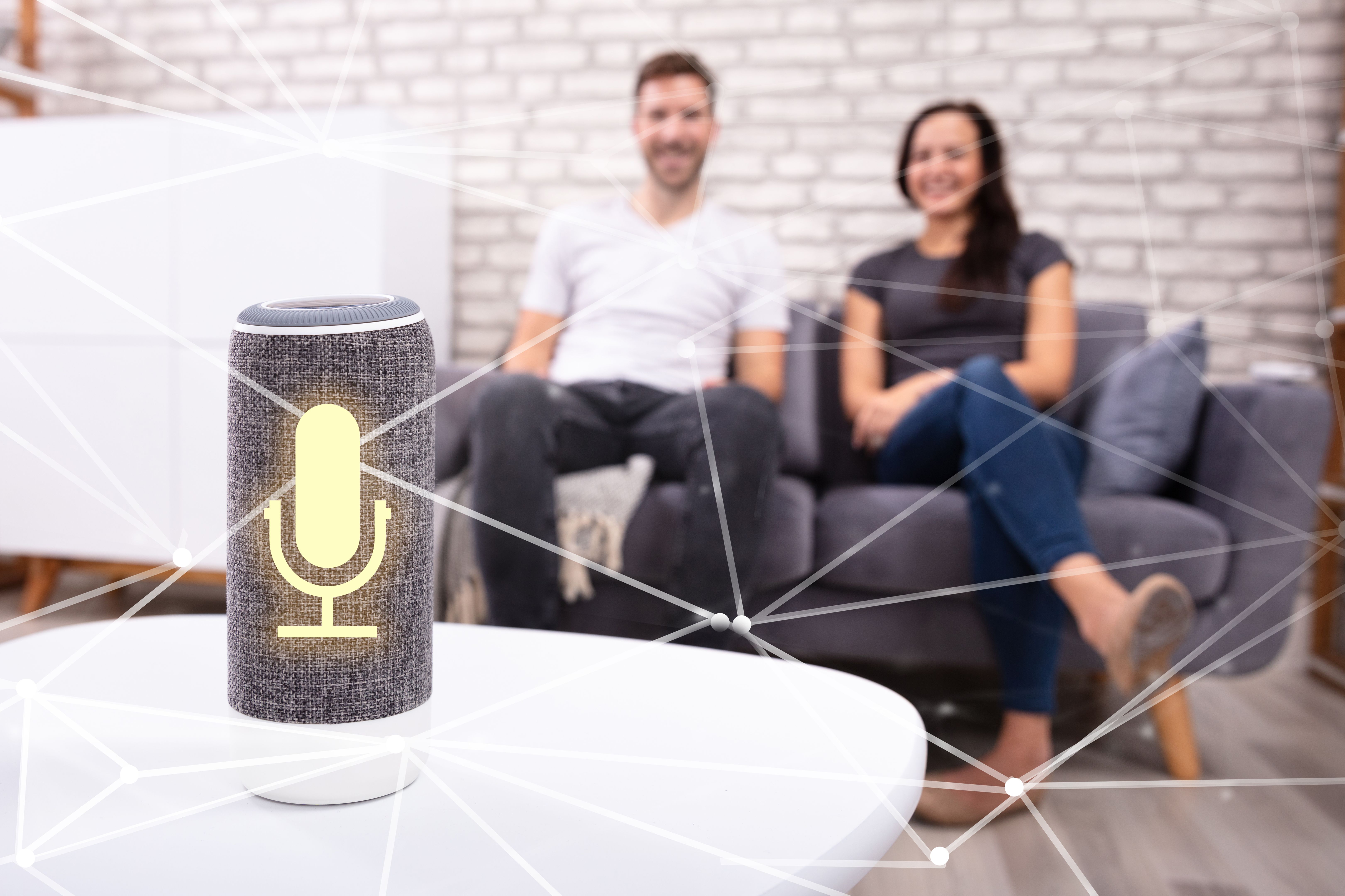 voice control device