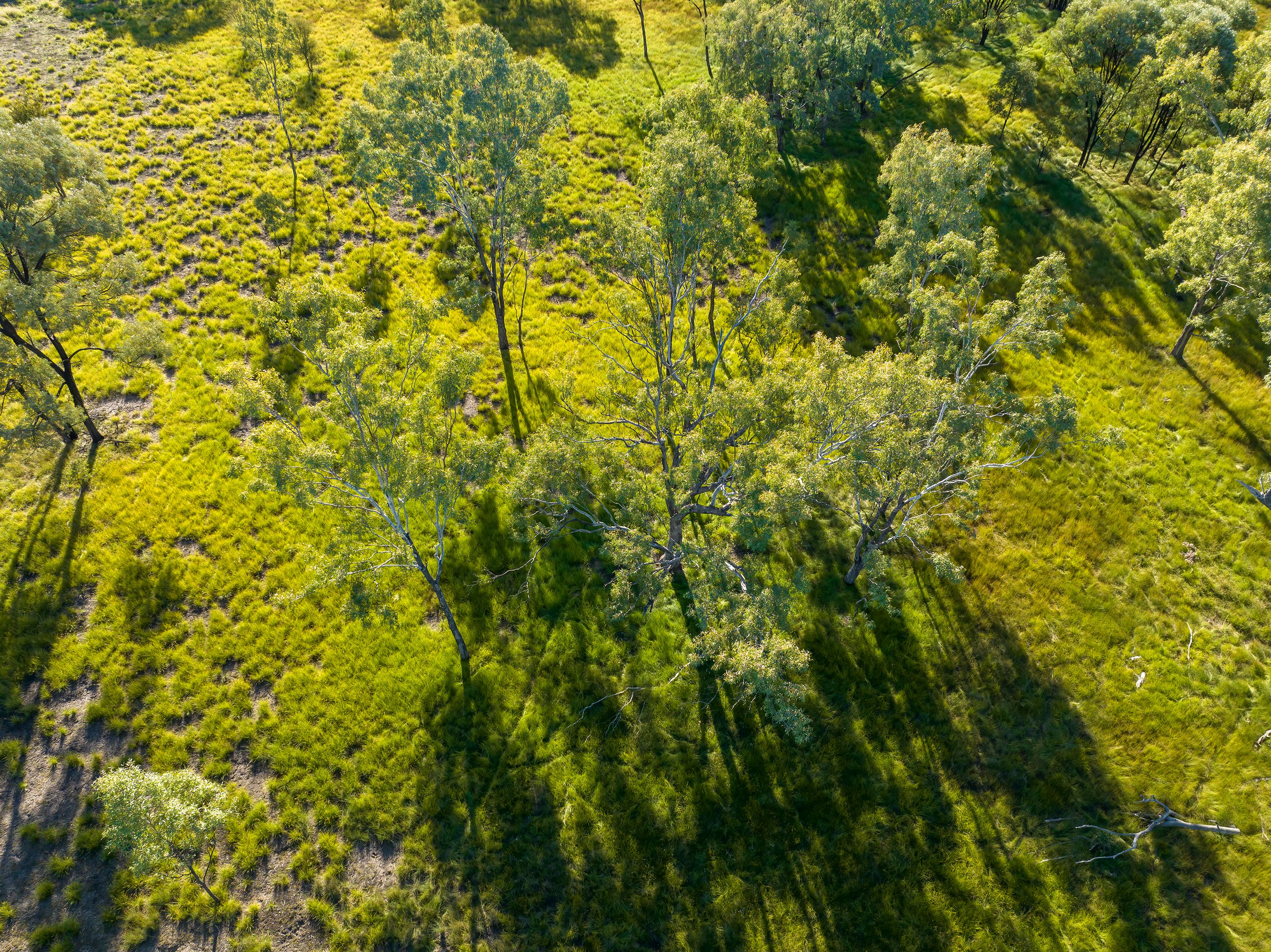 australian landscape drone
