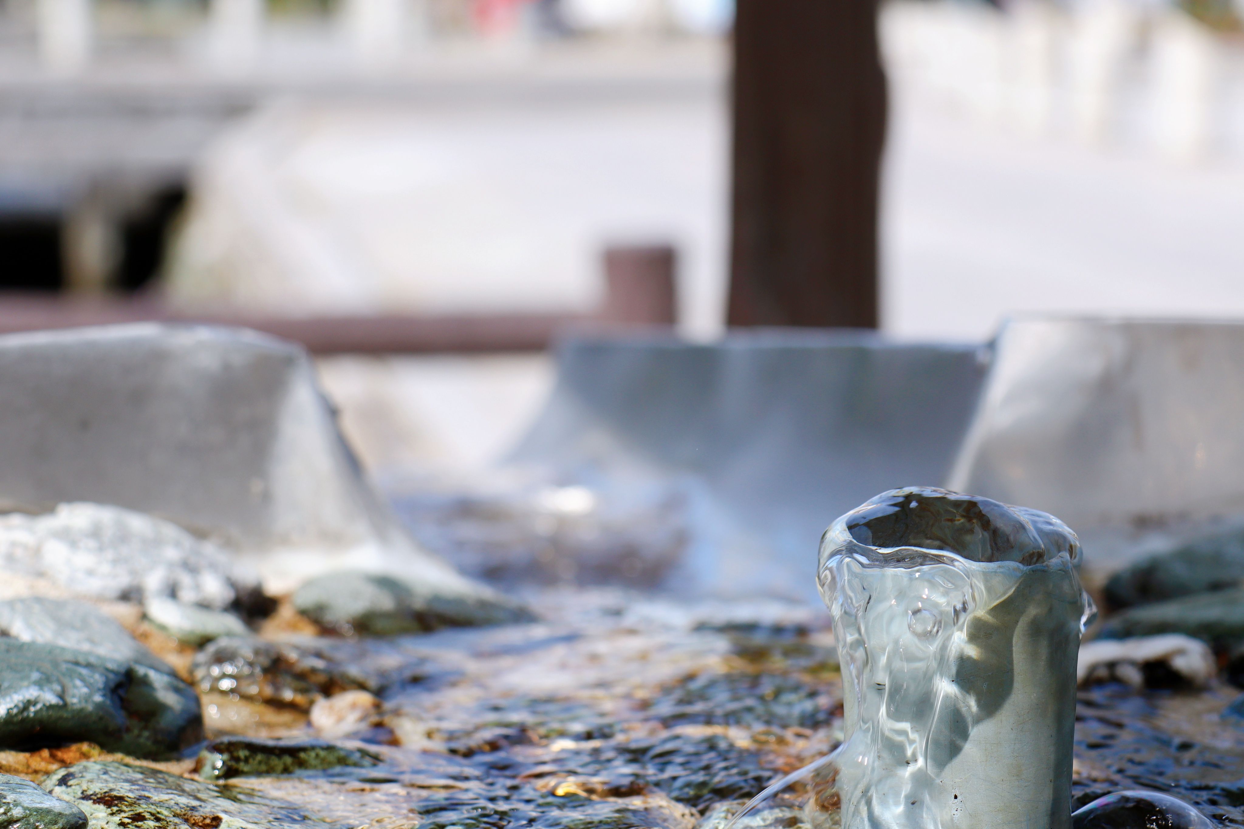 saijo city attractions