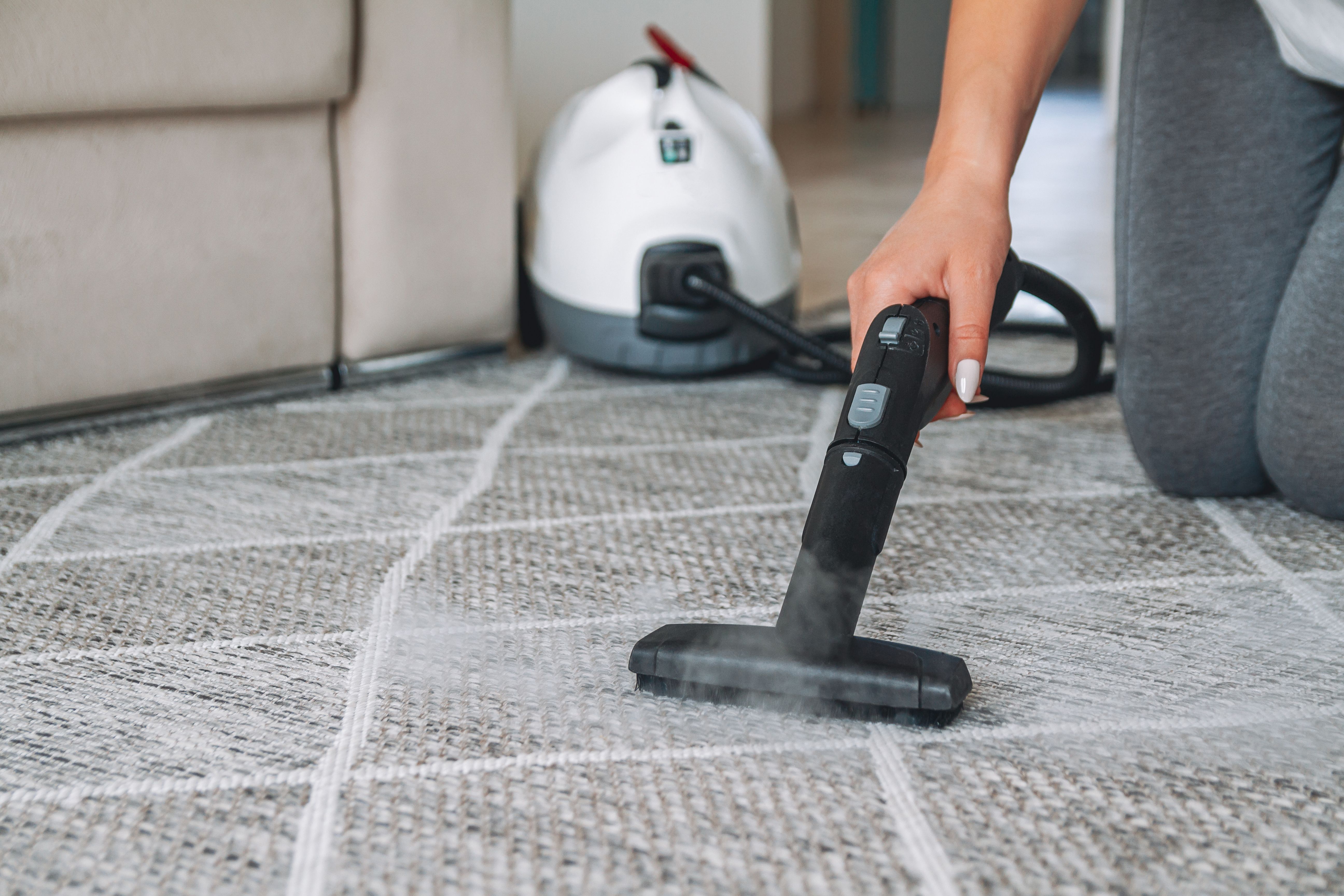 steam carpet cleaning