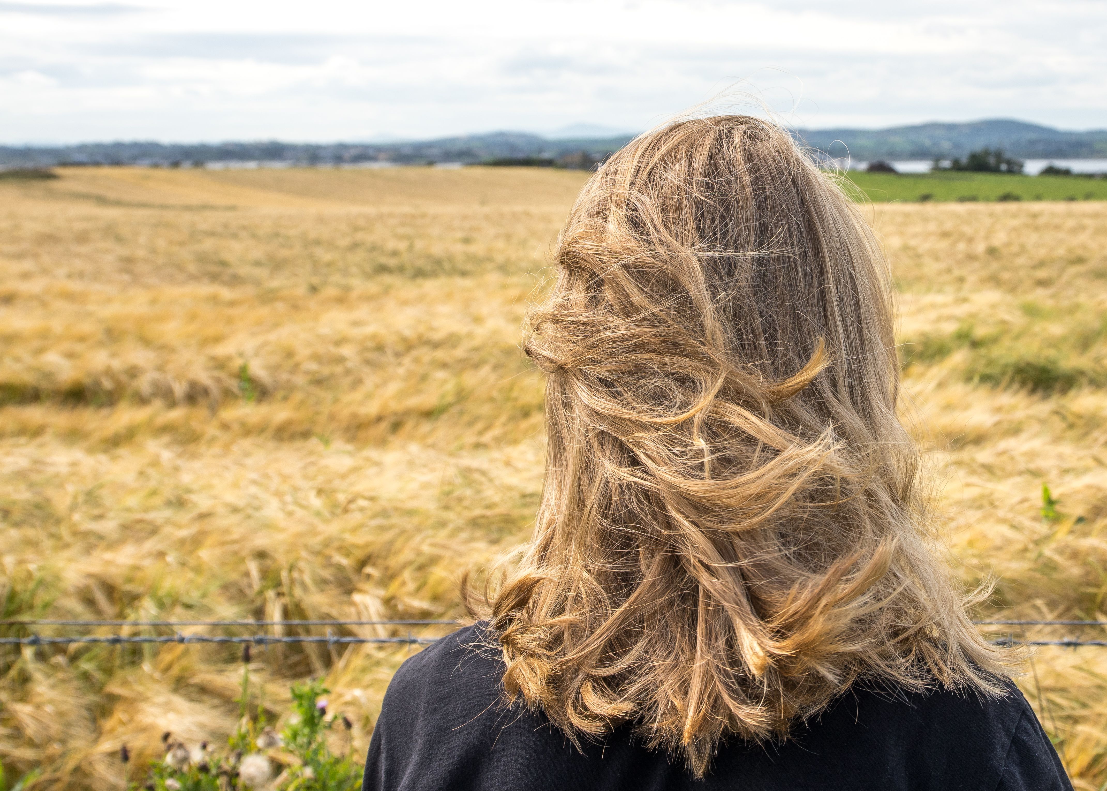 Back of teenager's head, looking over straw-colored field