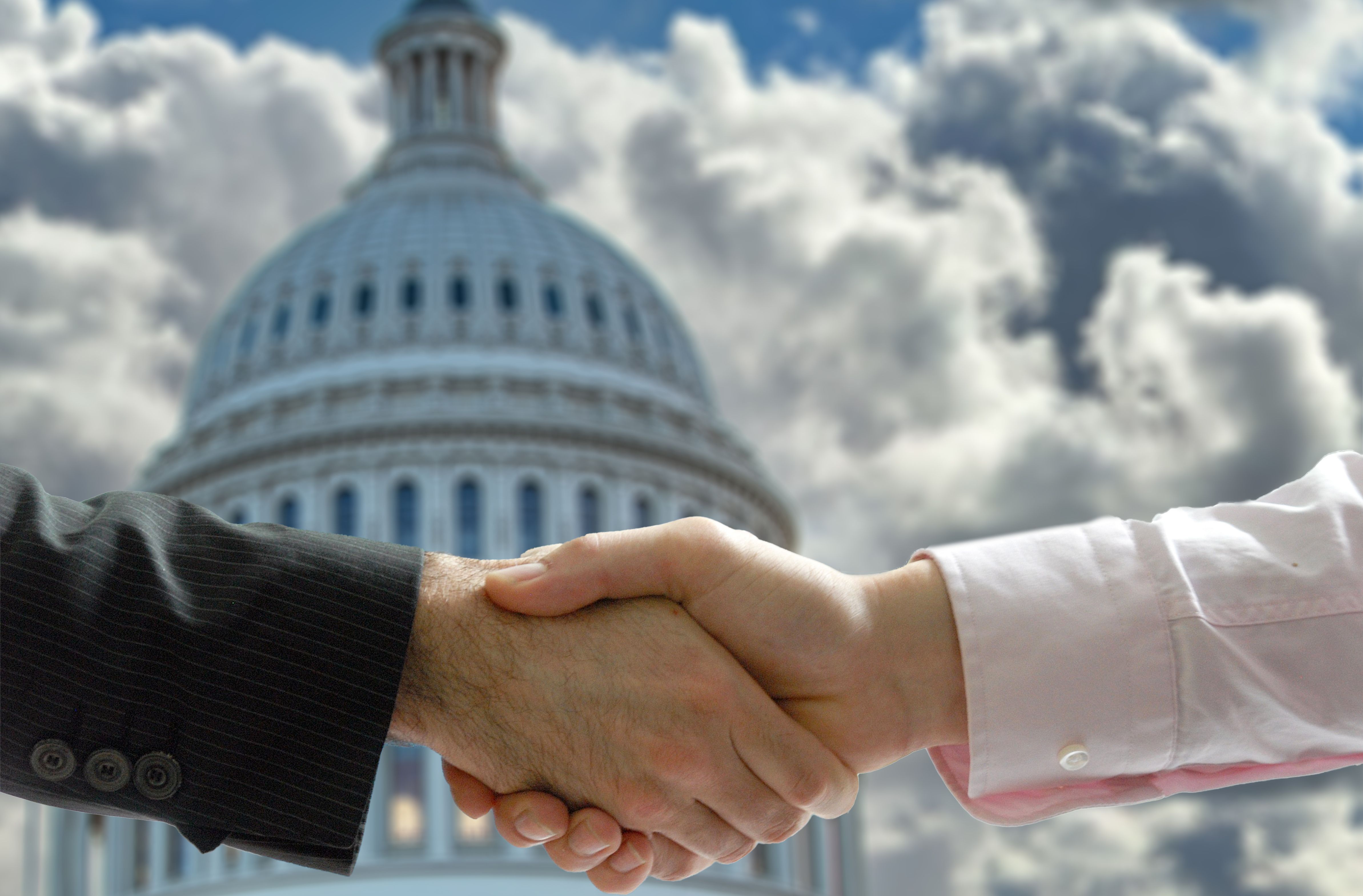 activist connections