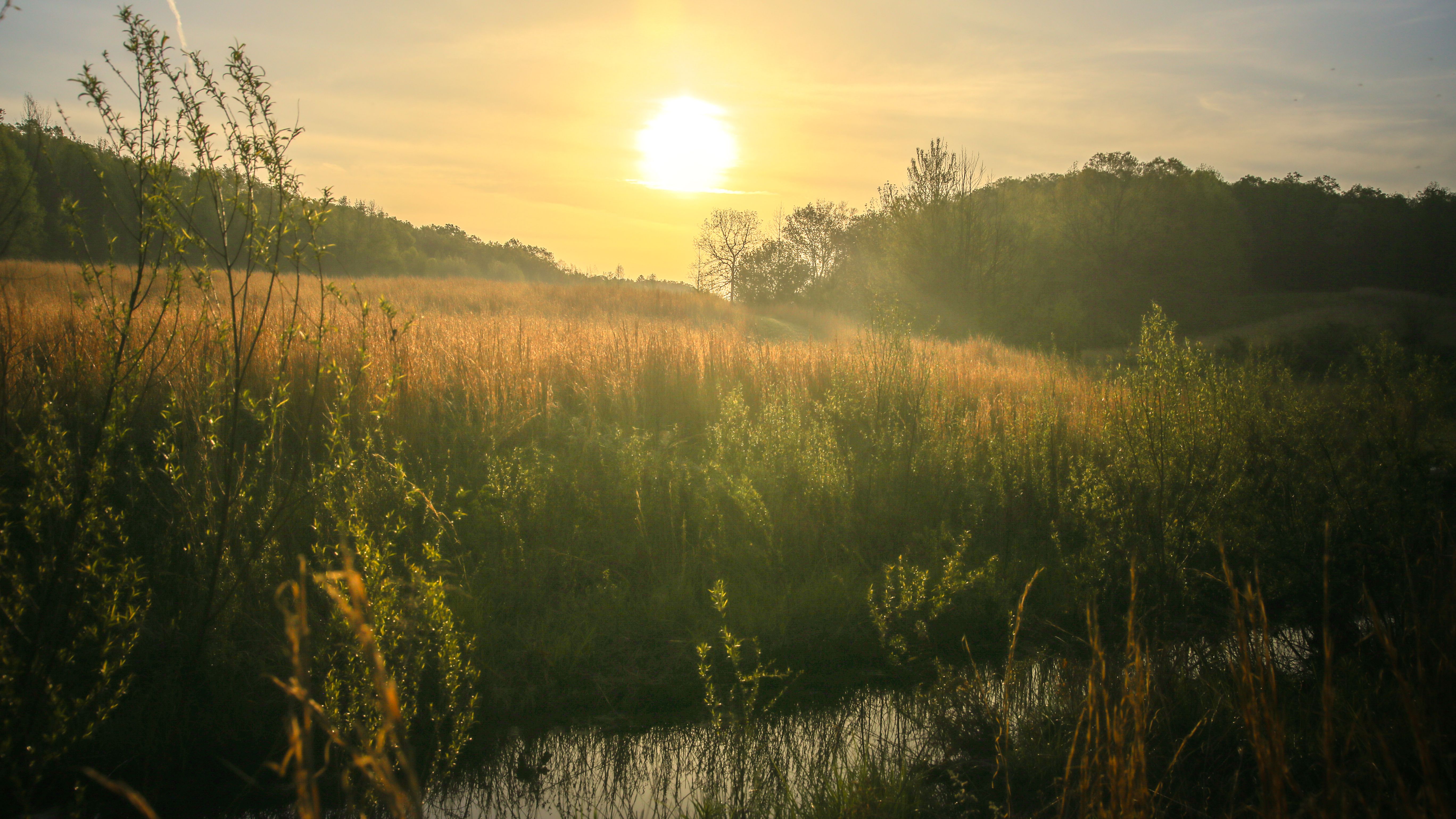 Sunrise Rural Tennessee with Stream and Big Sun Rising in Valley