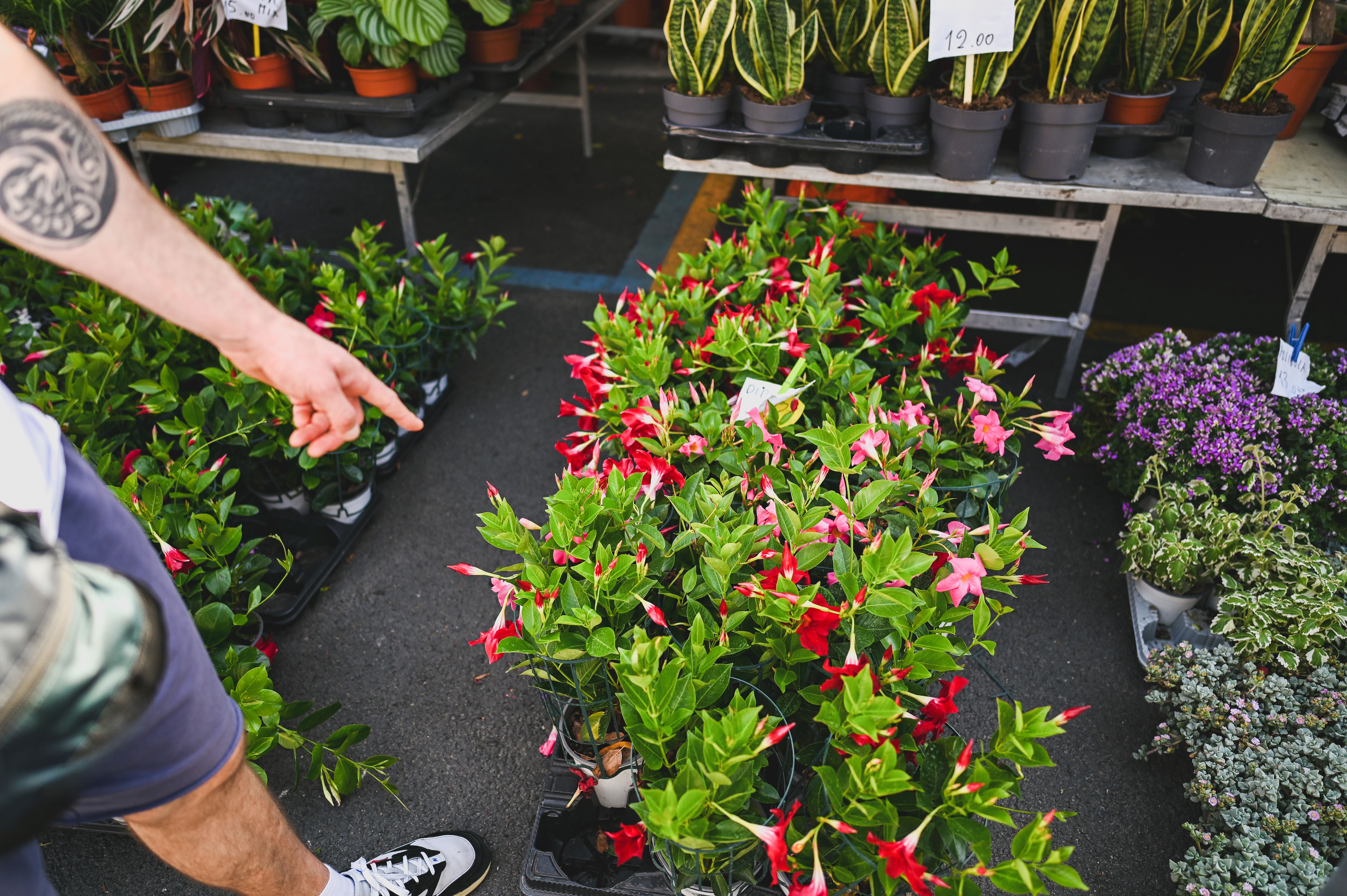 small business Louisiana