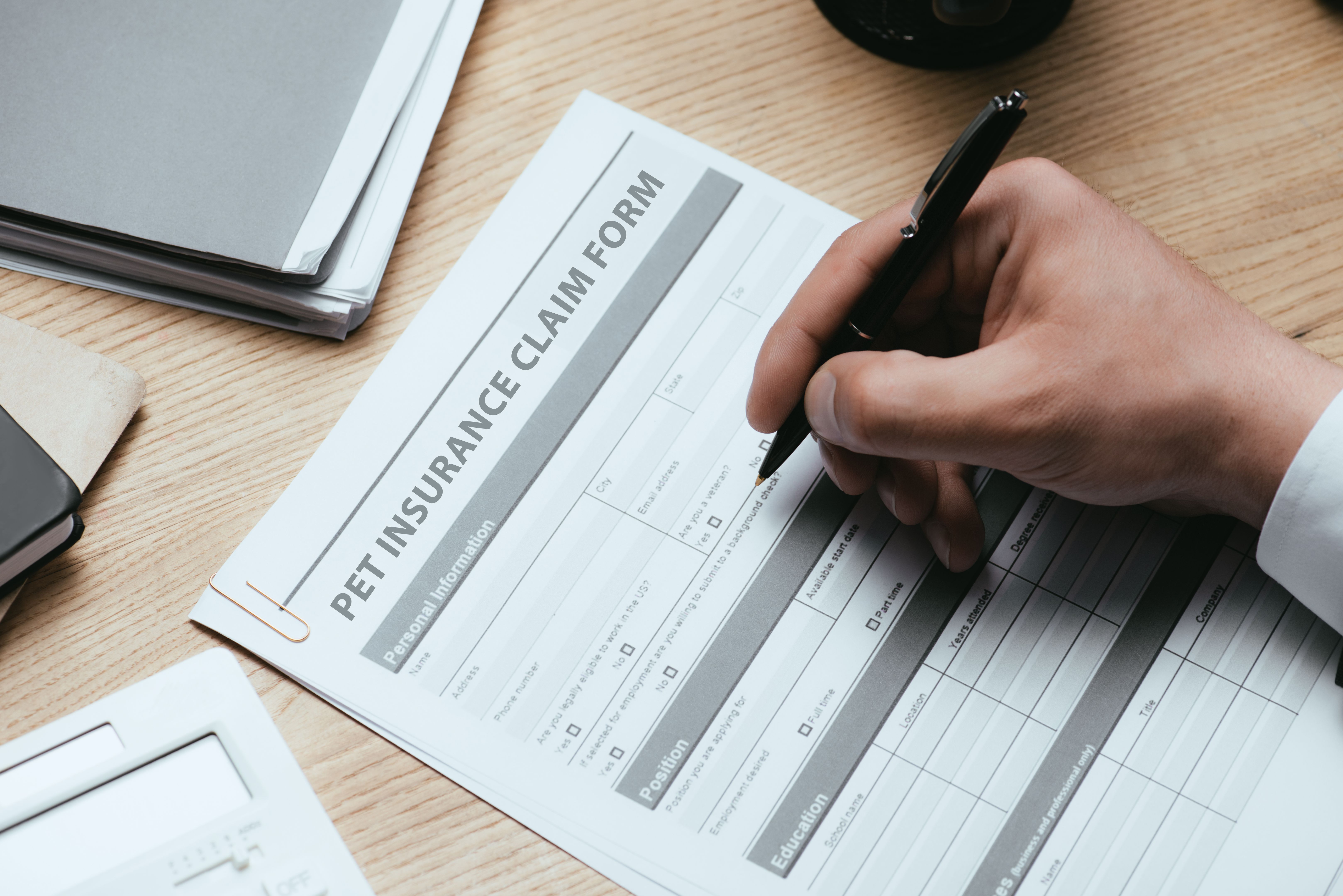pet insurance claim process