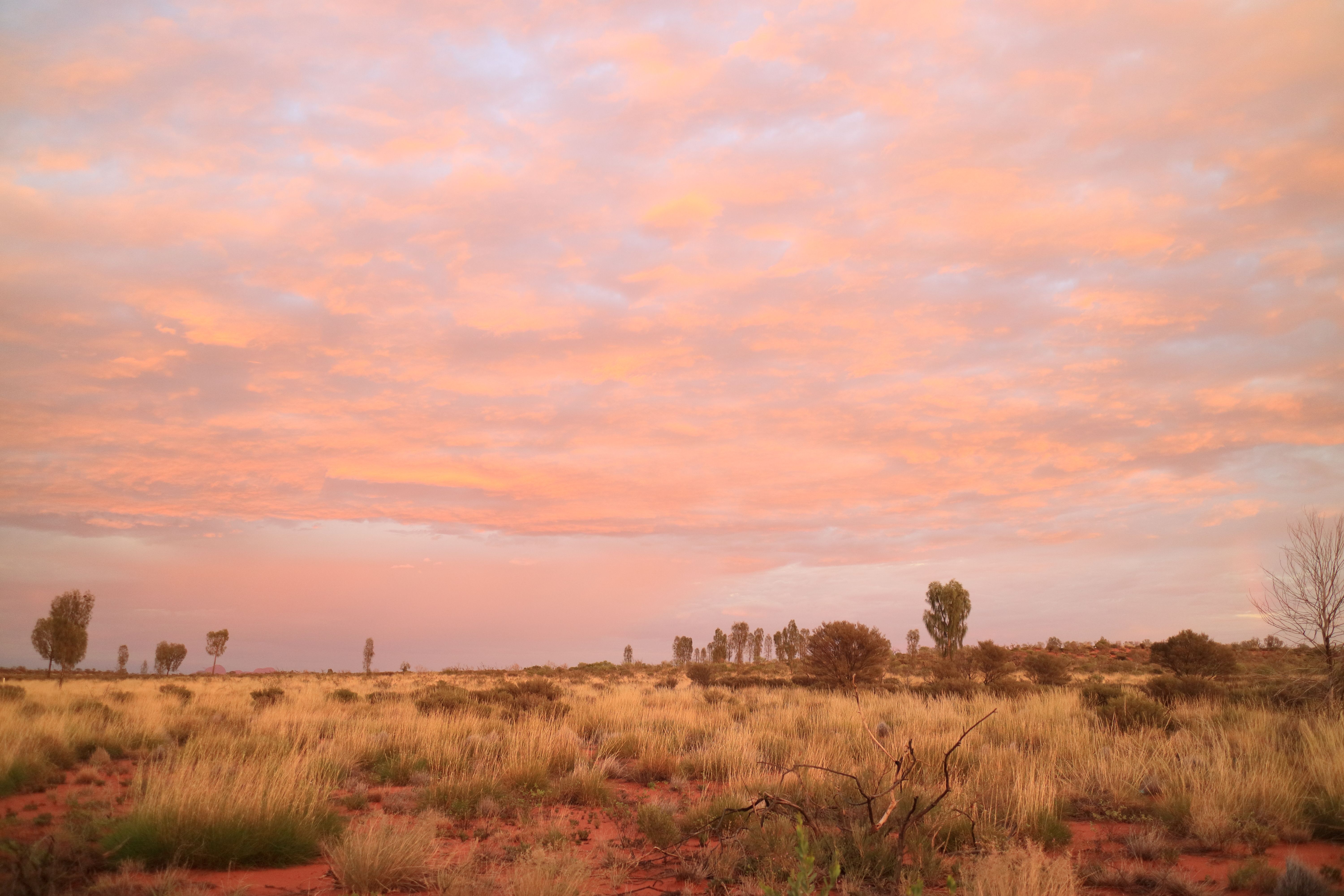 uluru sunrise