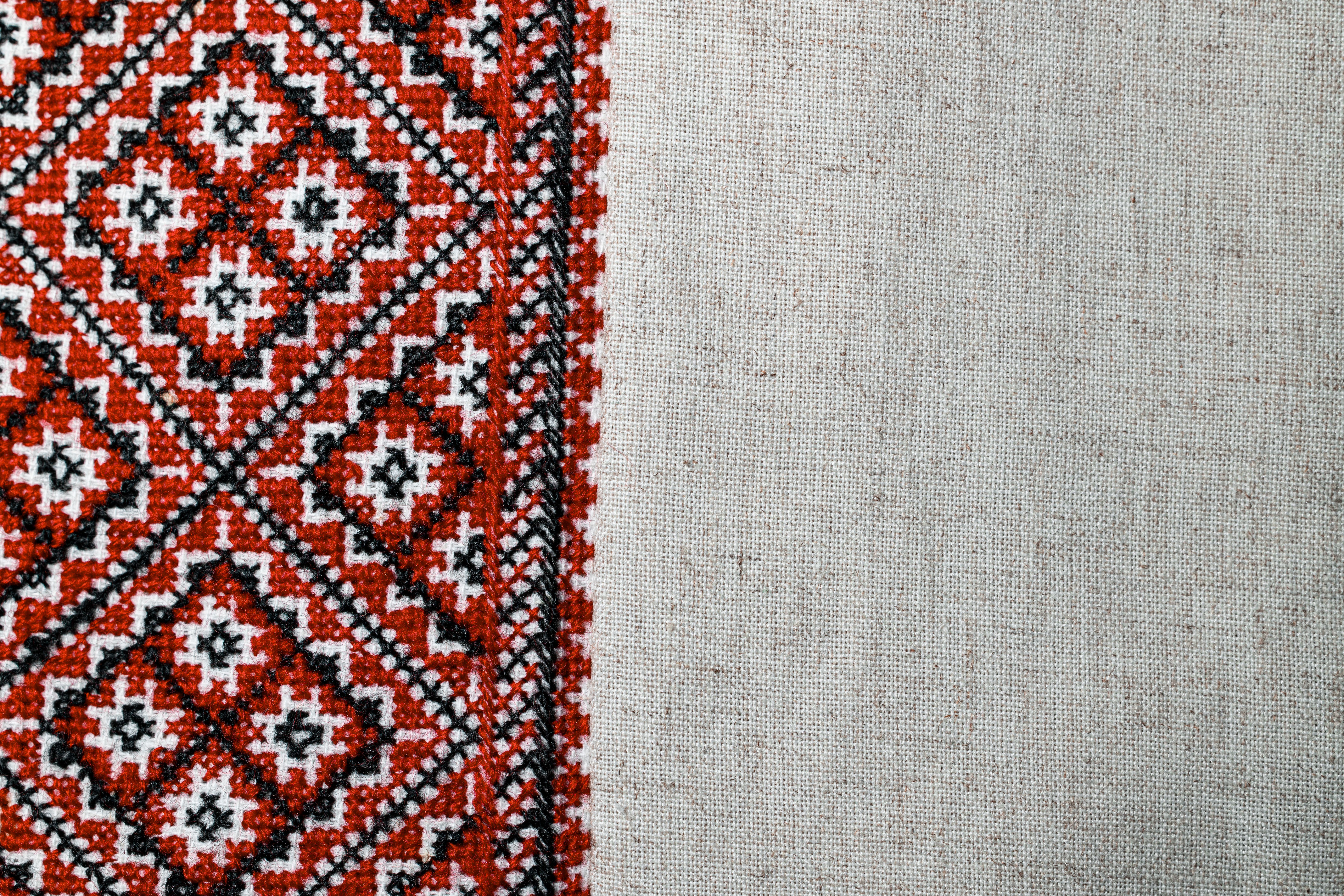 dog fashion designer