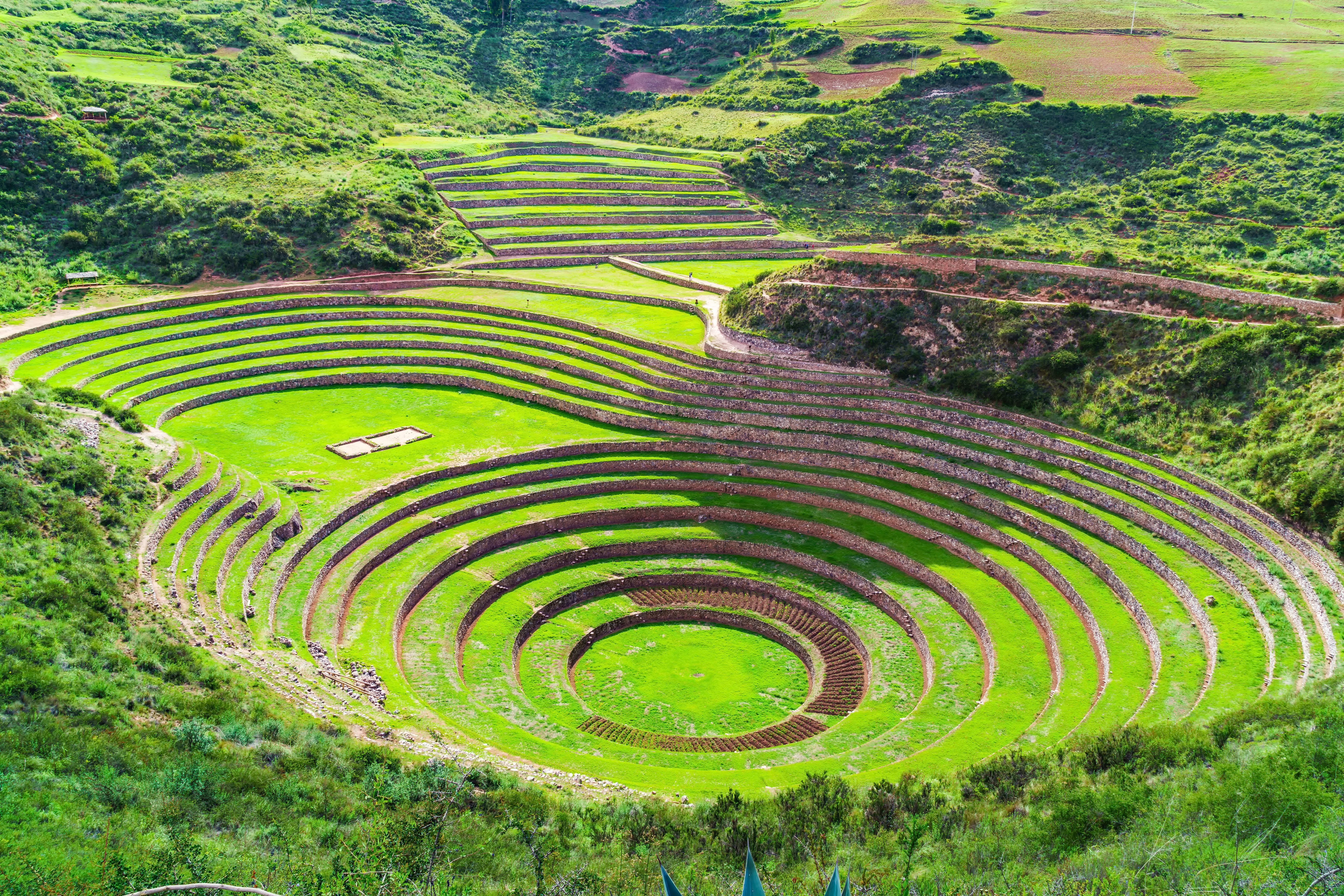 Peruvian agriculture