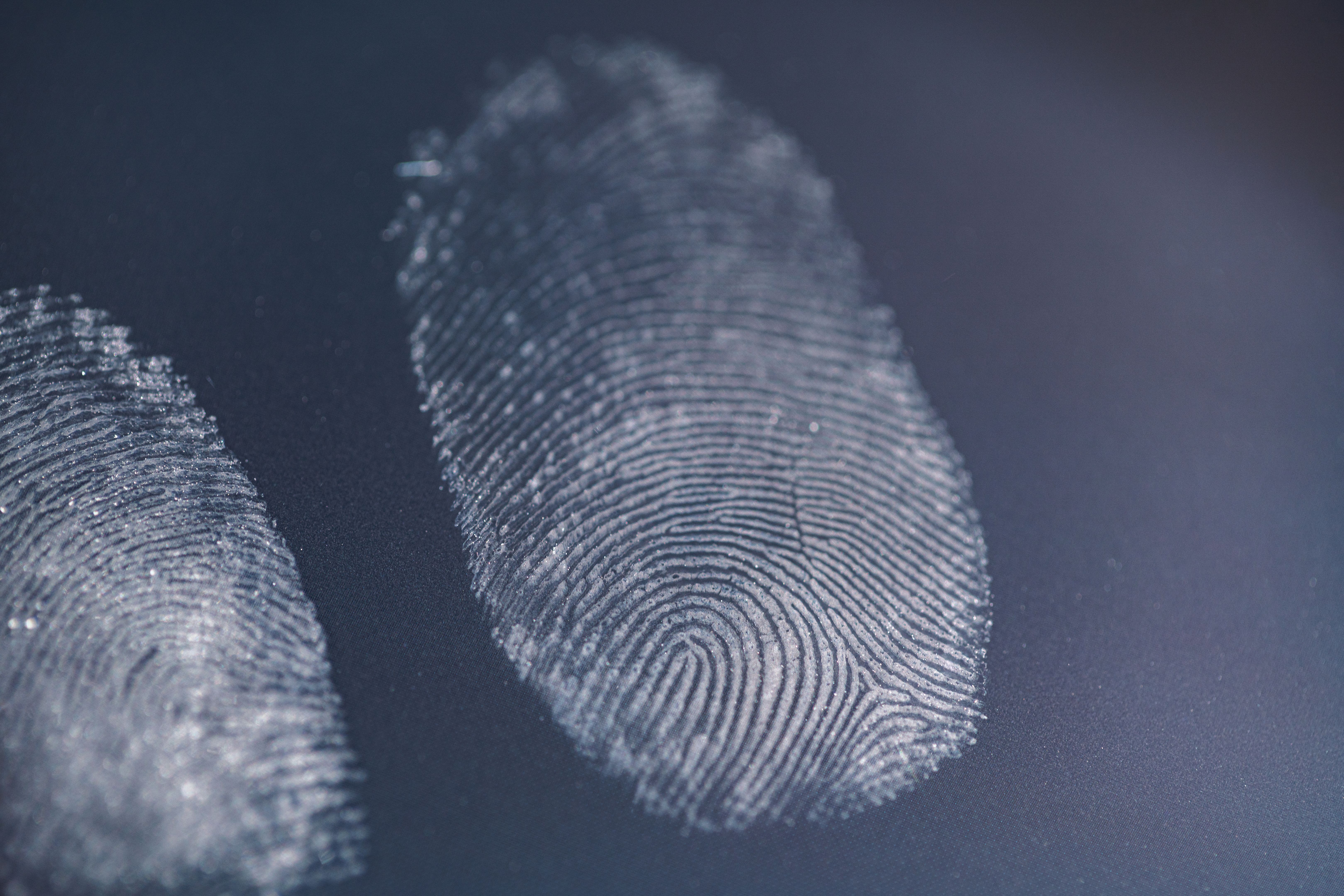 fingerprint scan