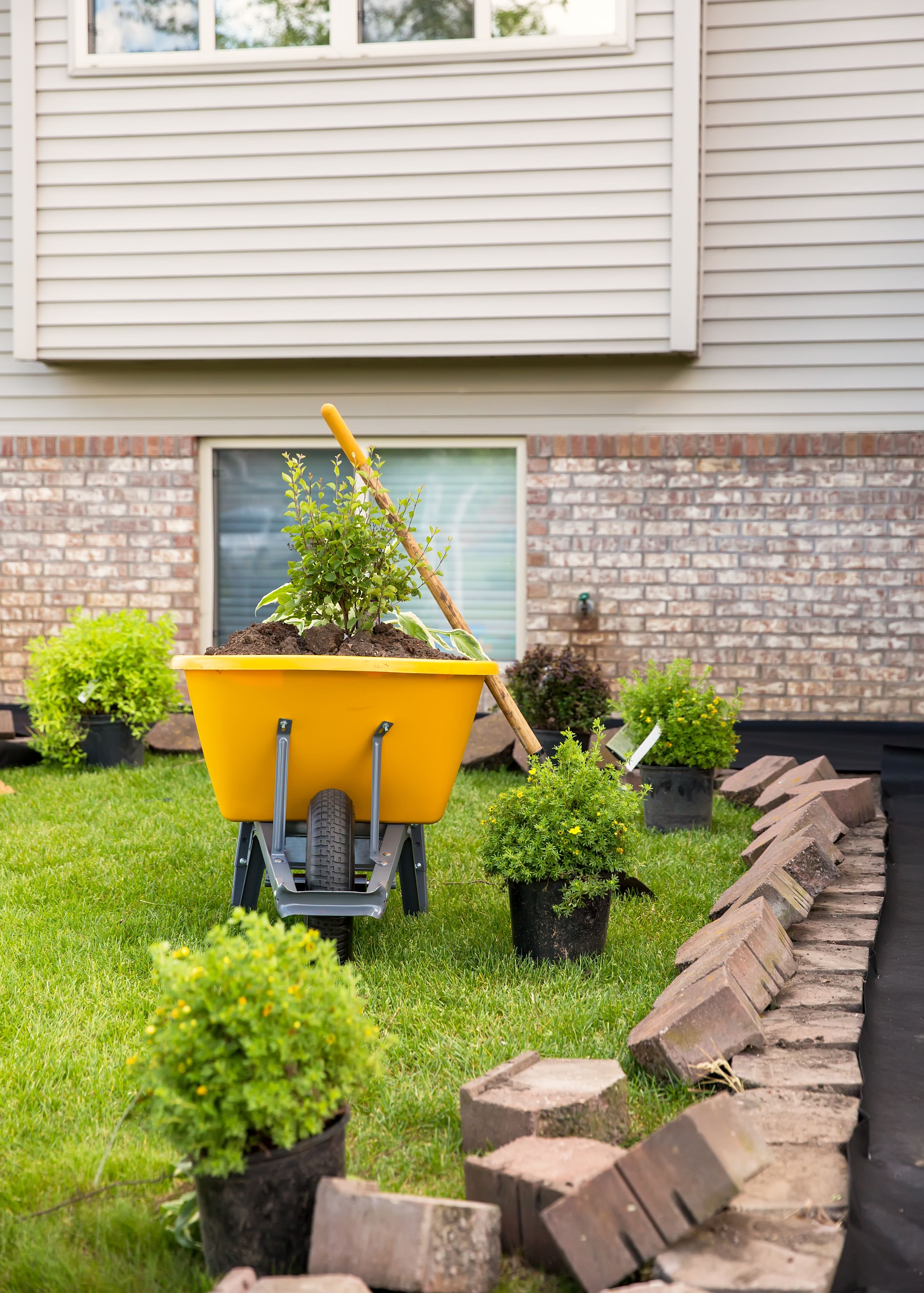 spring home renovation