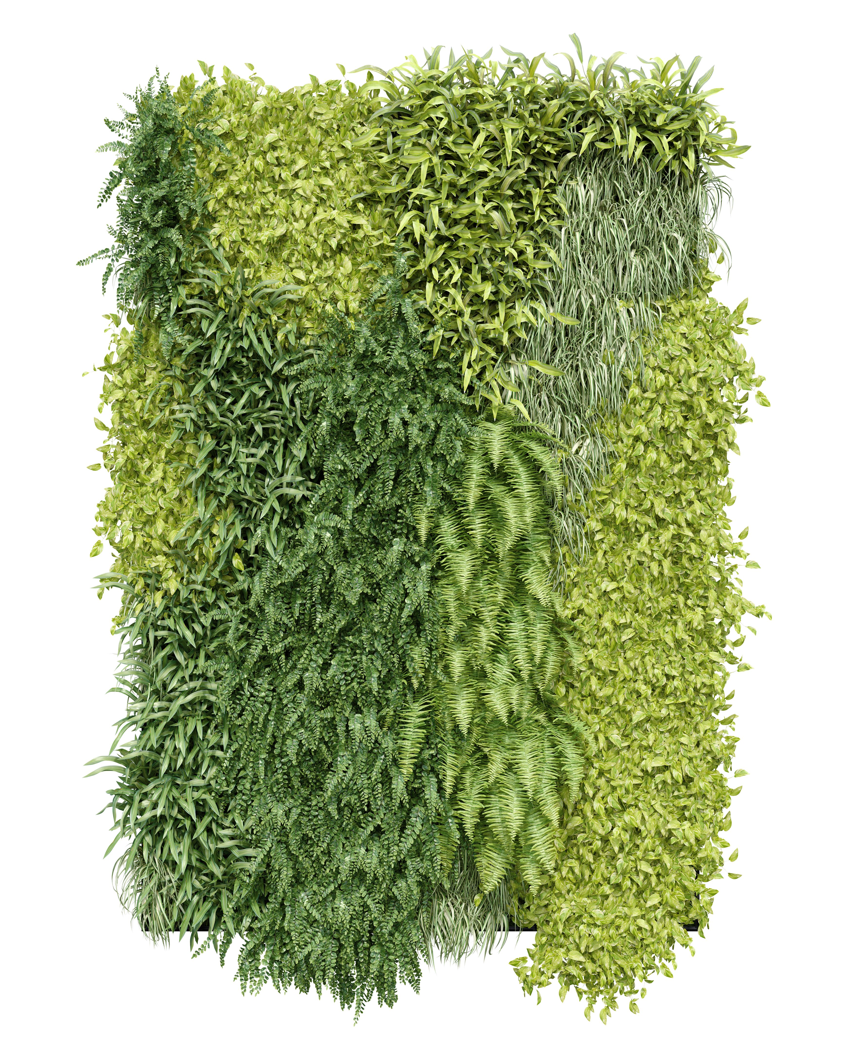 vertical plant arrangement