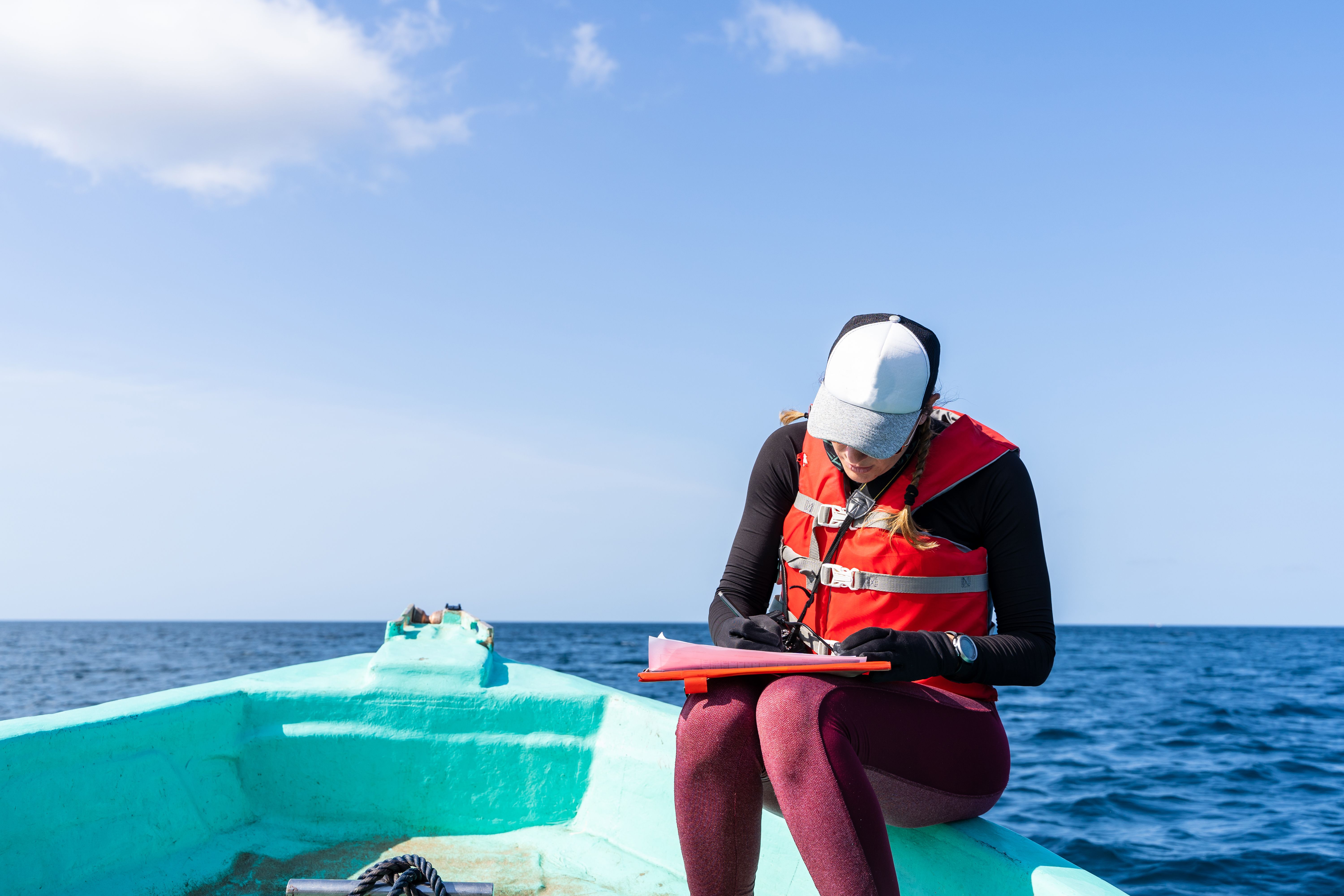 vessel inspection