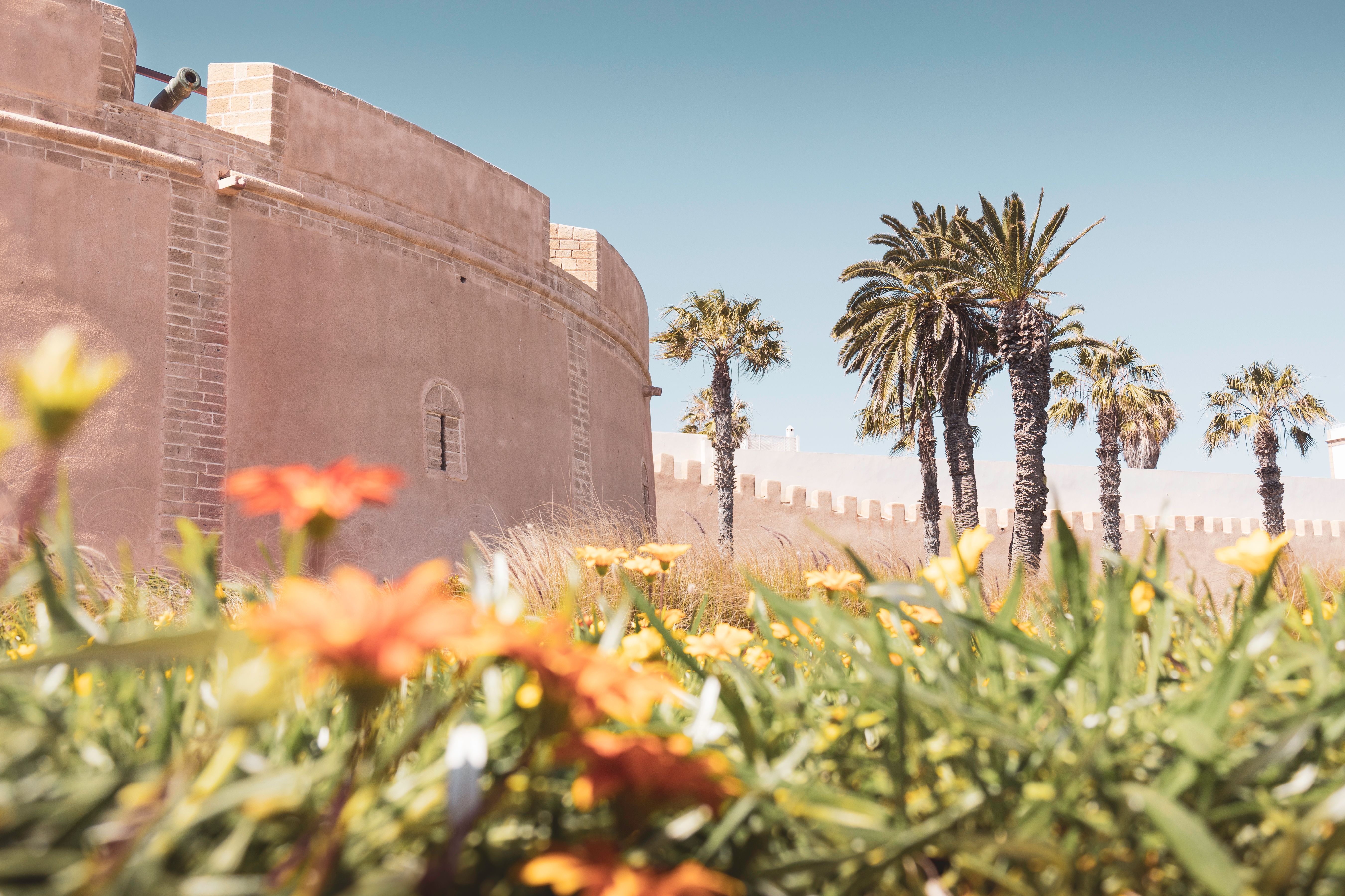 essaouira medina