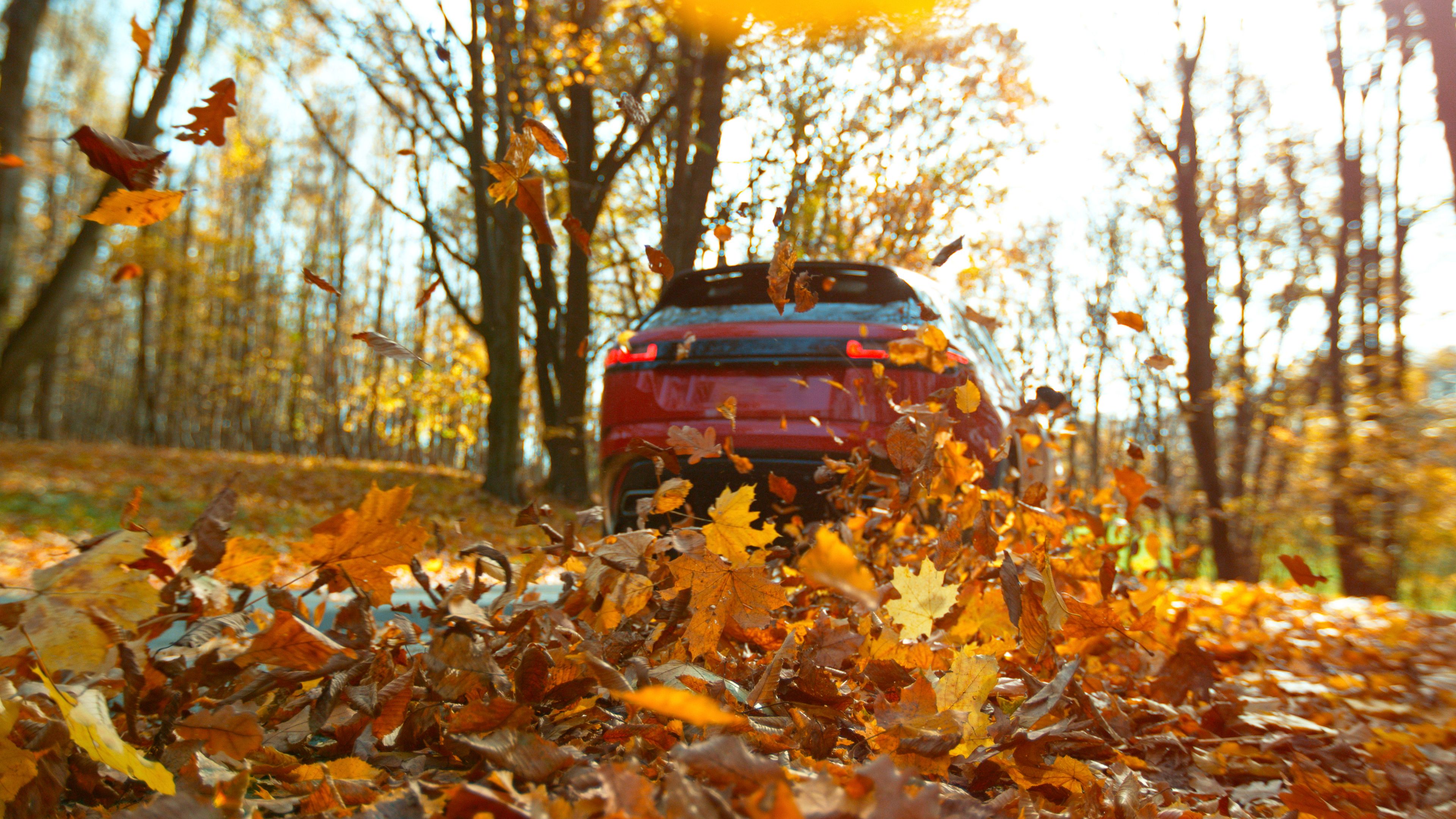 fall car inspection