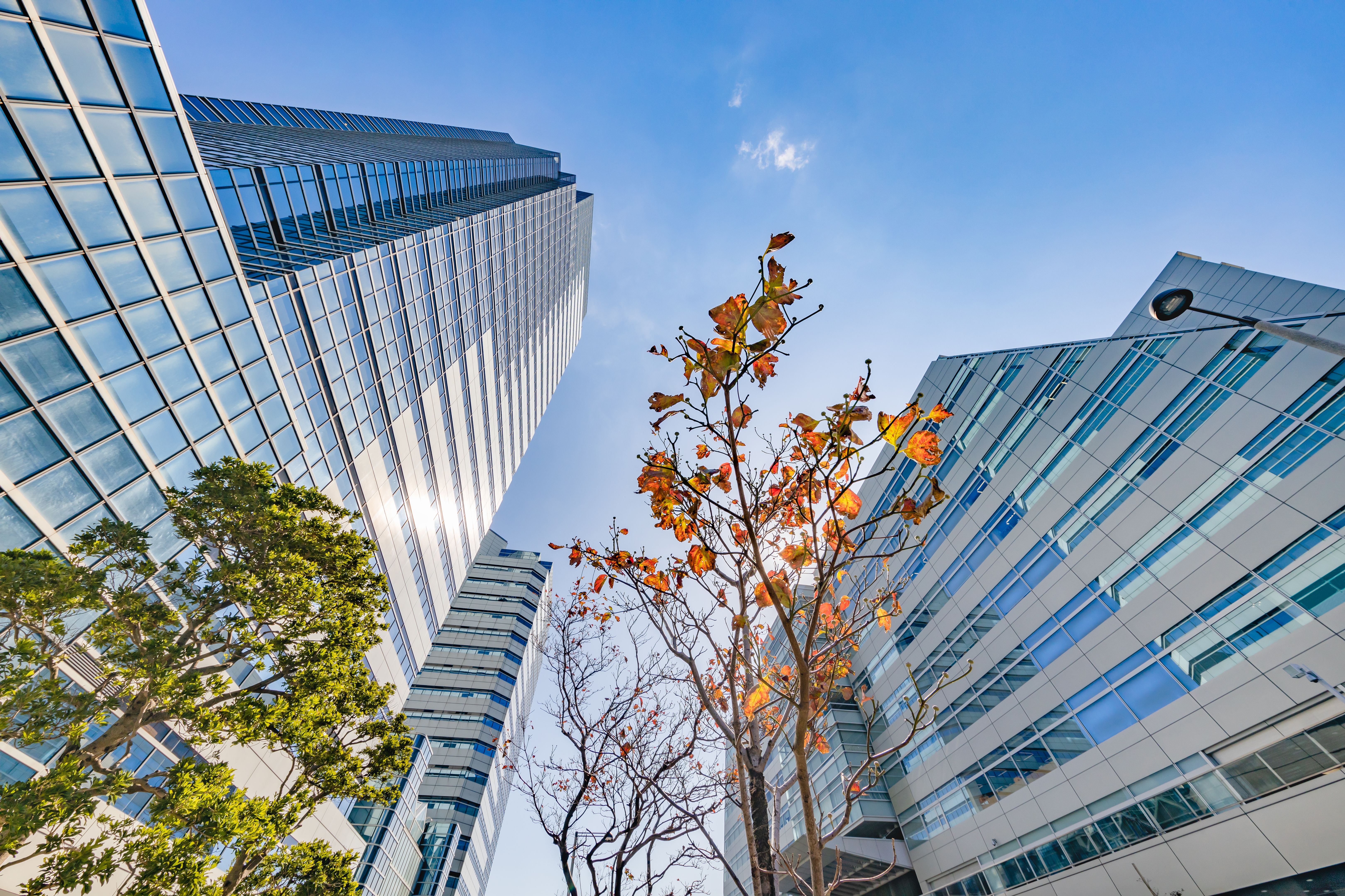 commercial property fall