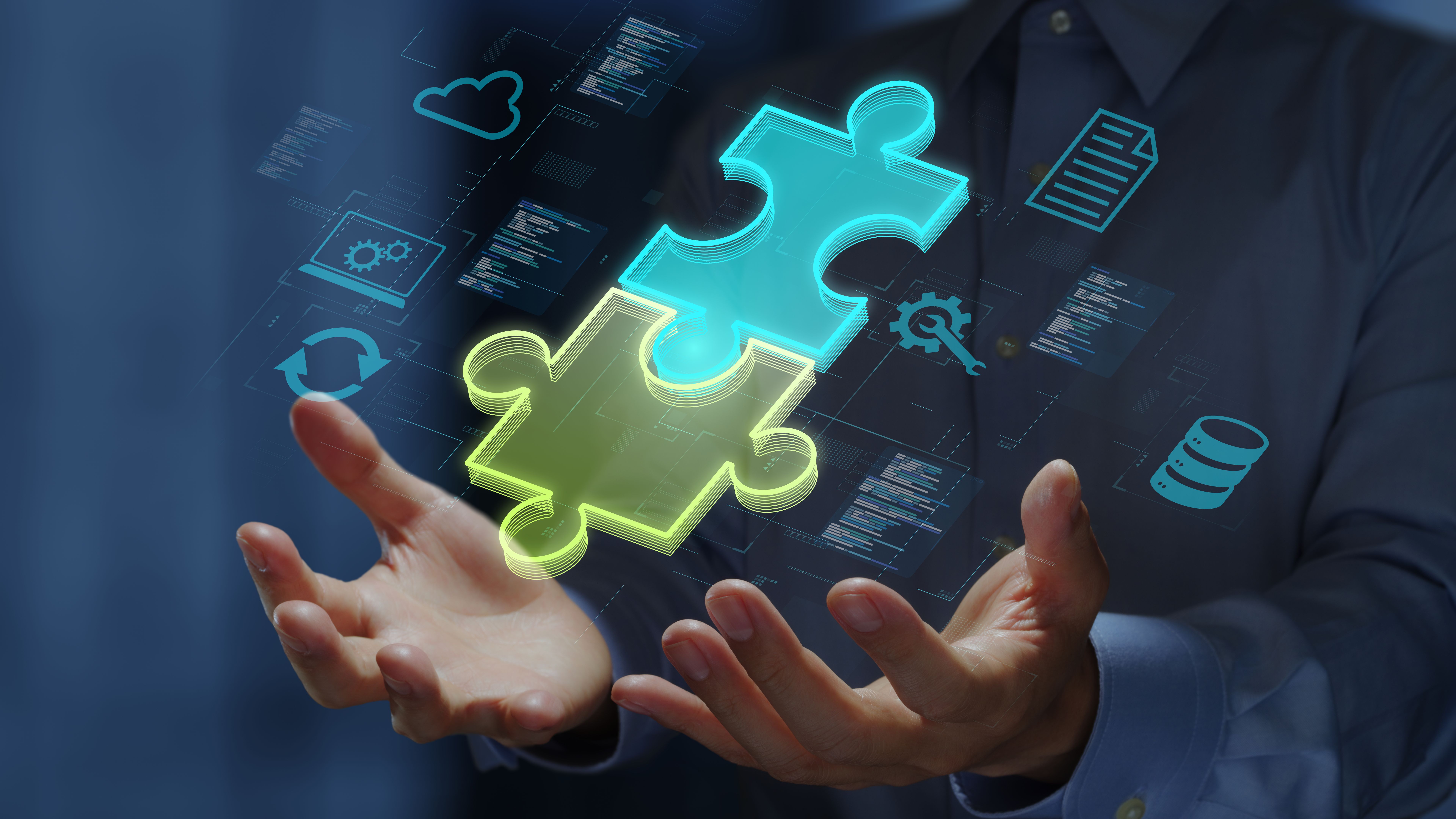 customized business solutions