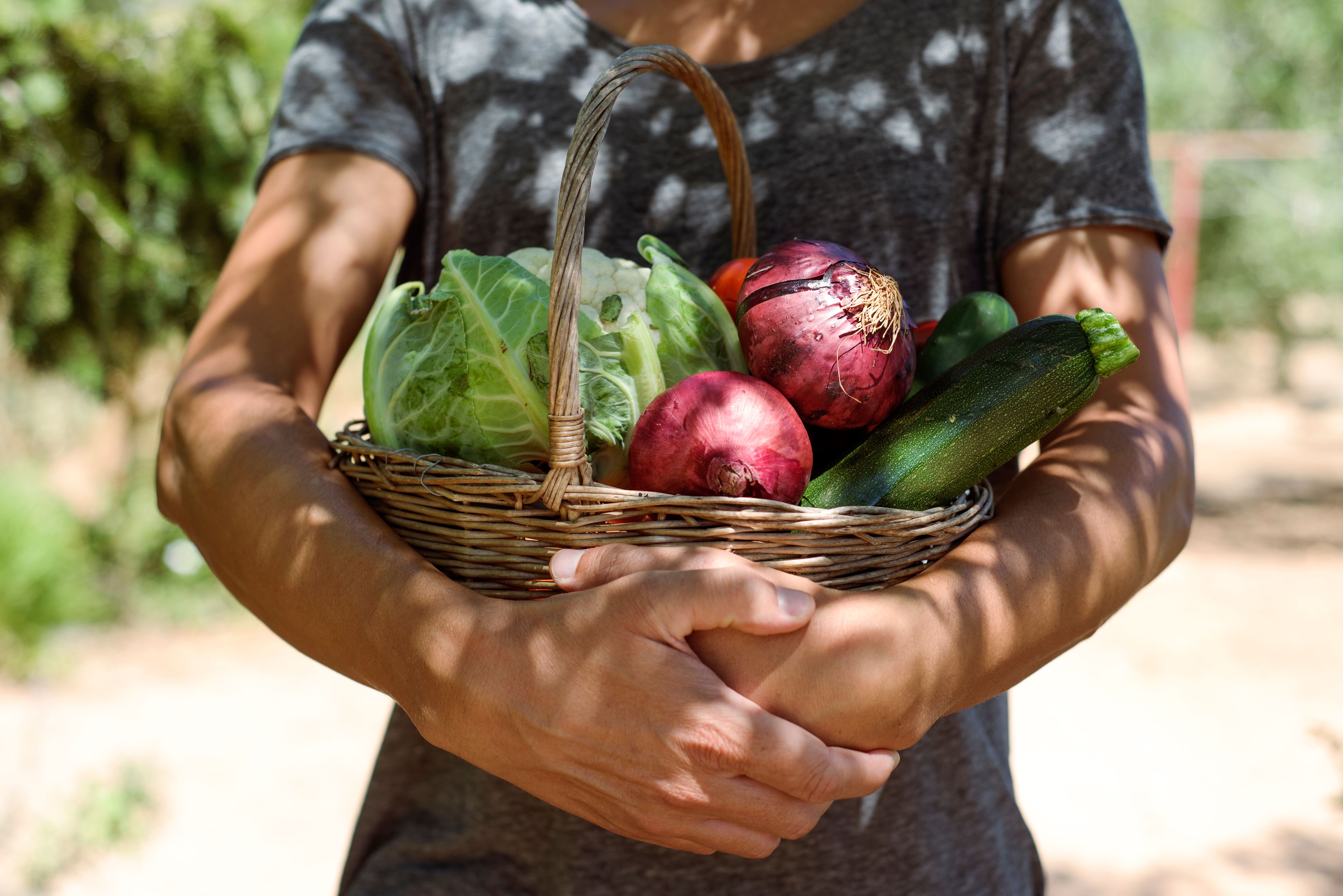 organic farm produce