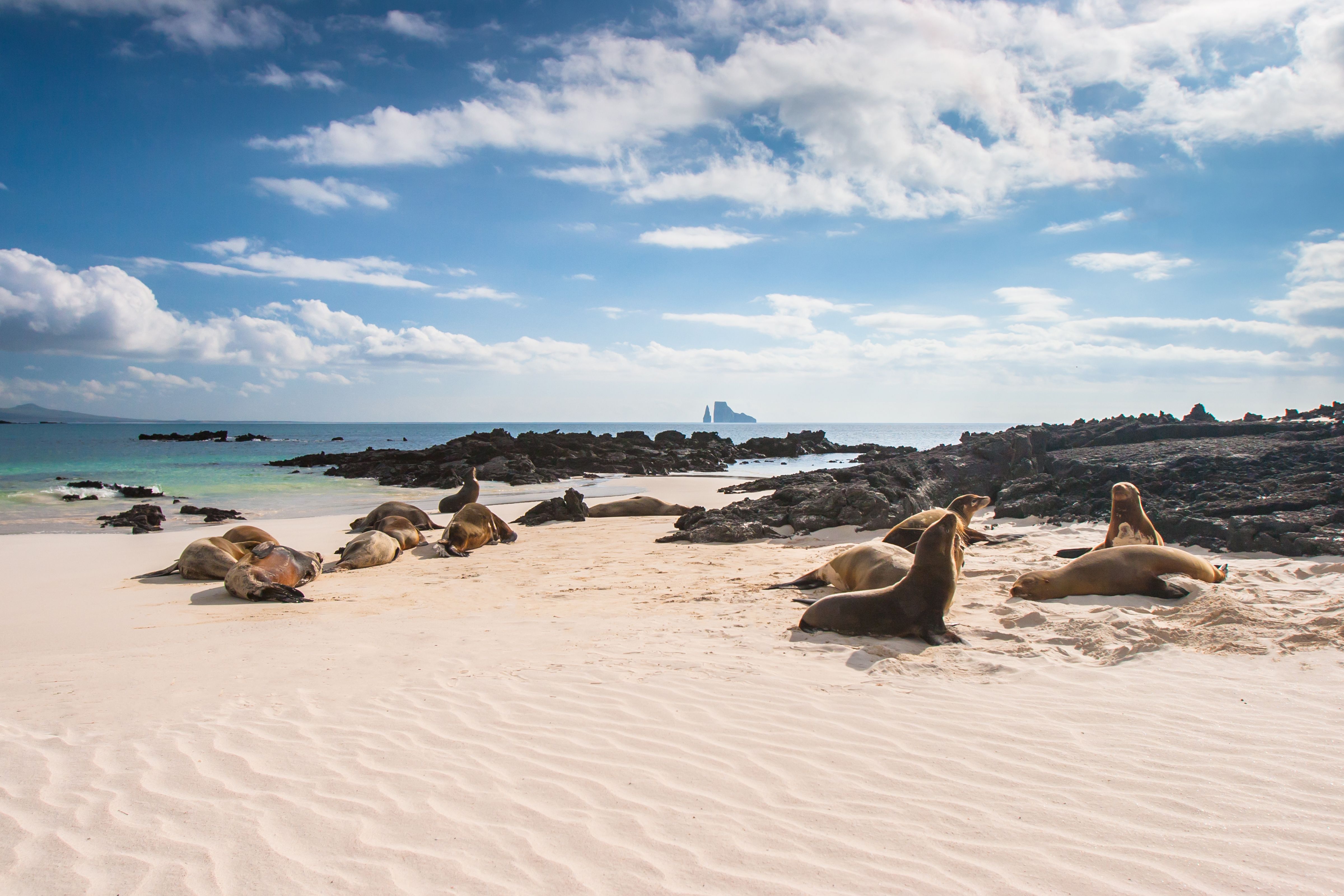 galapagos islands tour