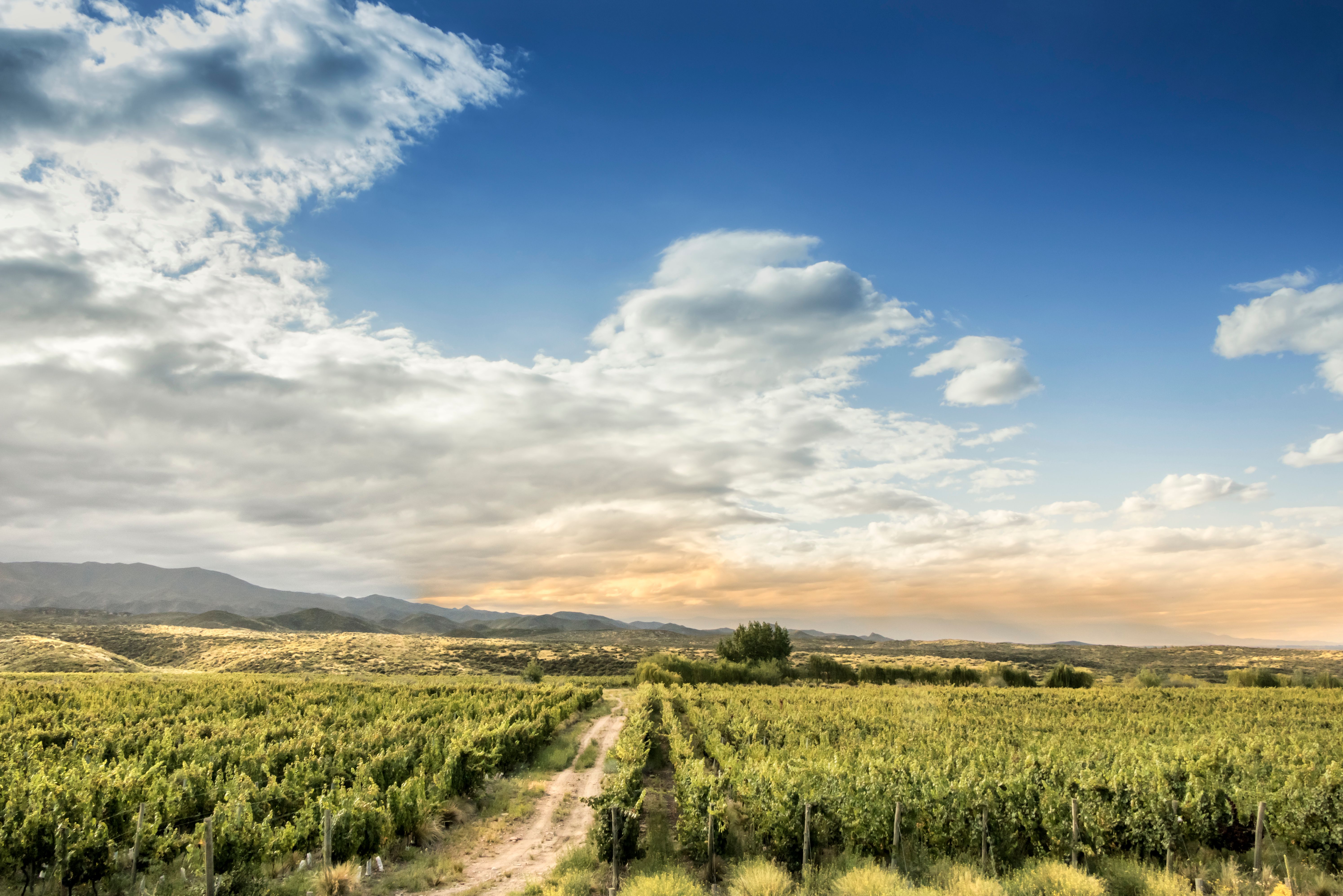 ecotourism argentina