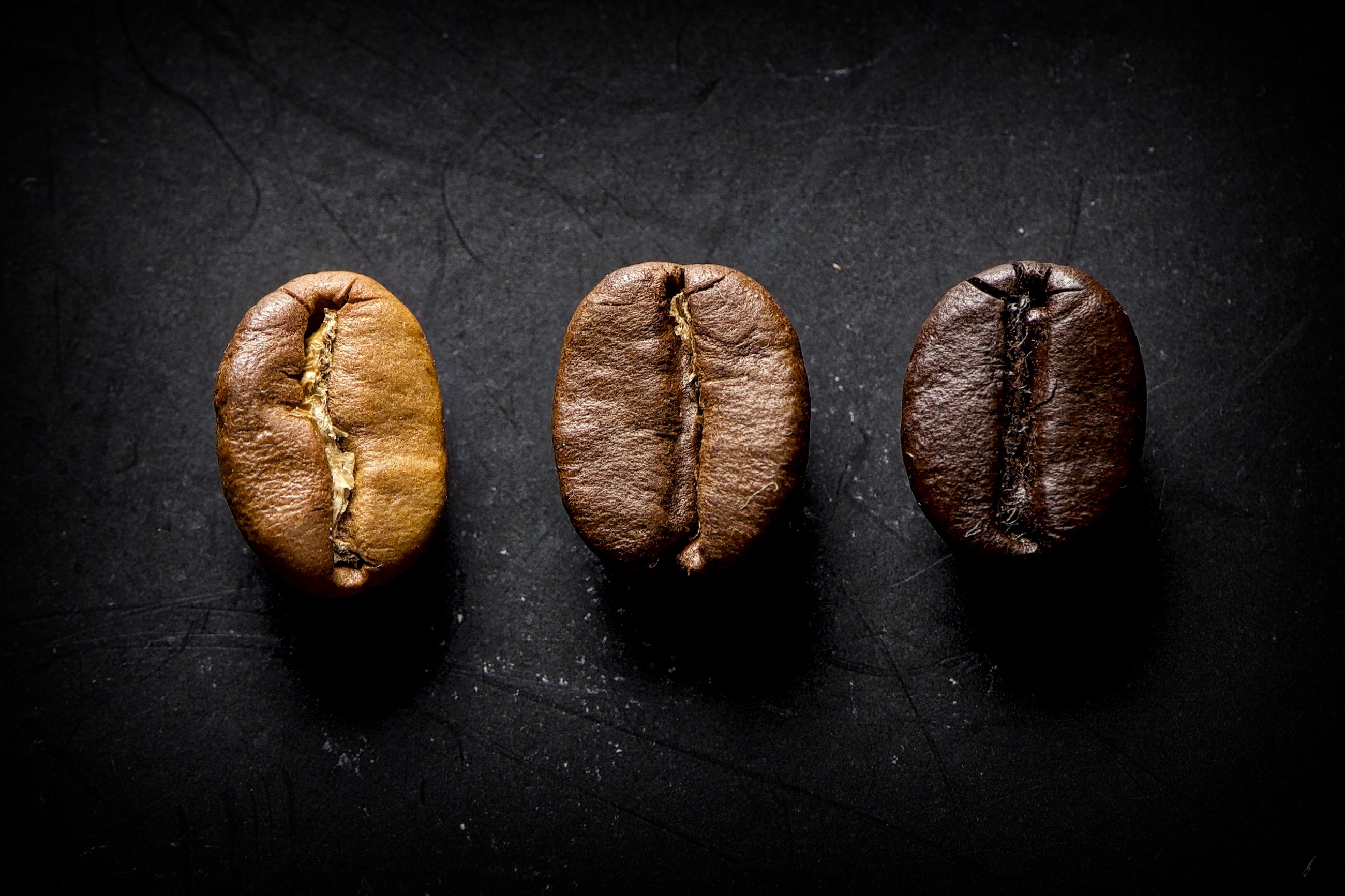 coffee bean varieties