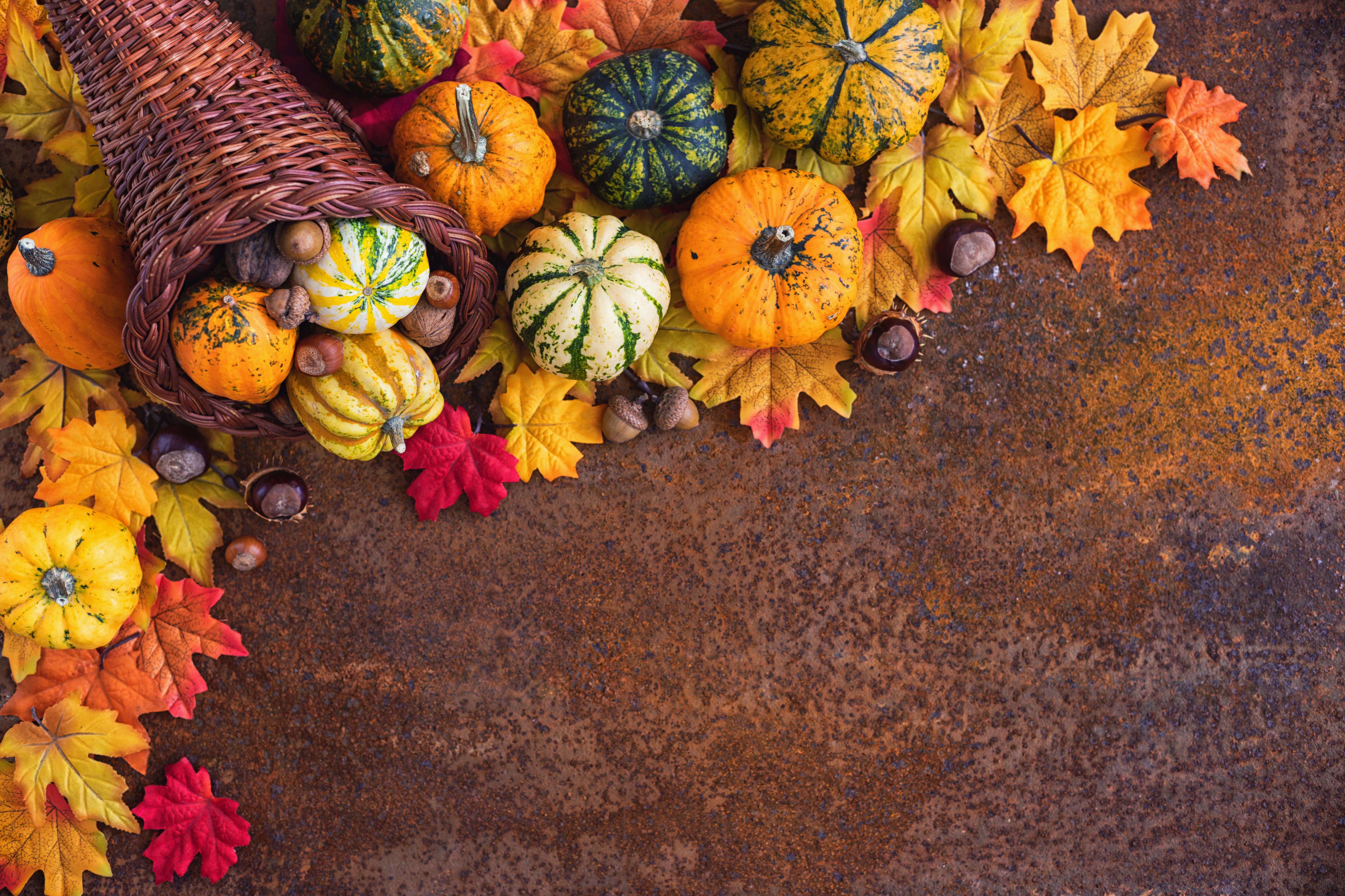 autumn leaves