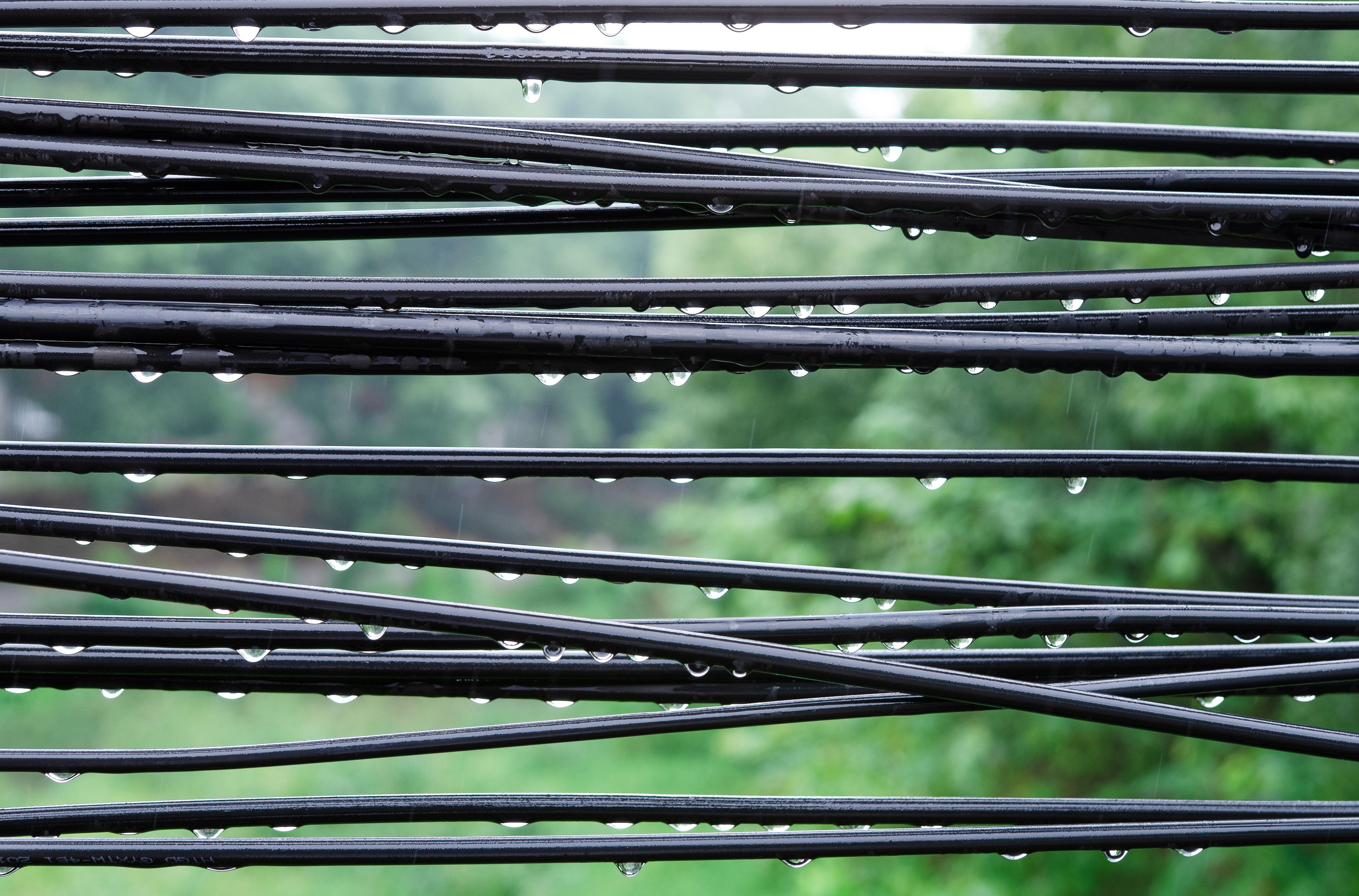 cybersecurity newsletter