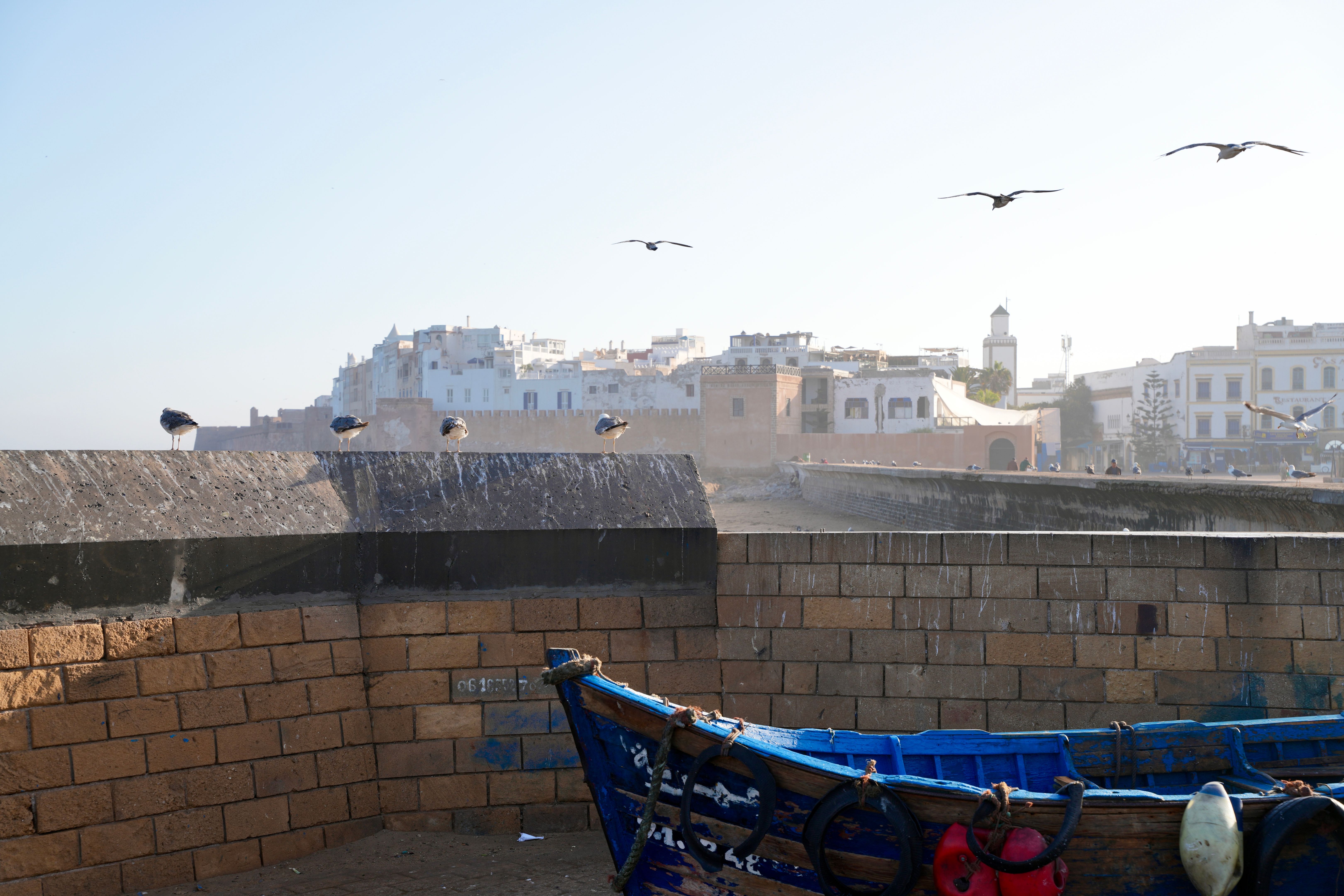 essaouira port