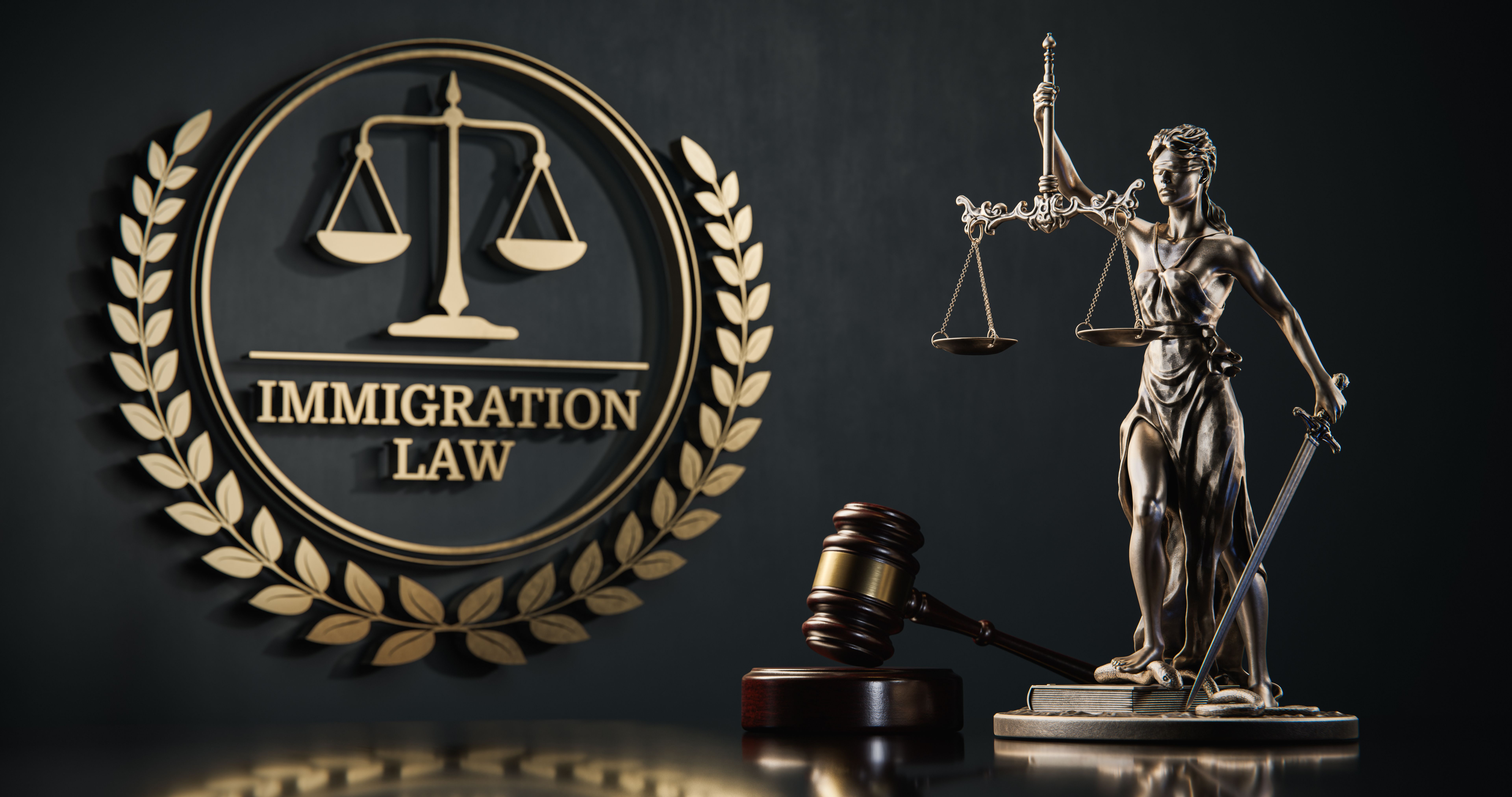 immigration law