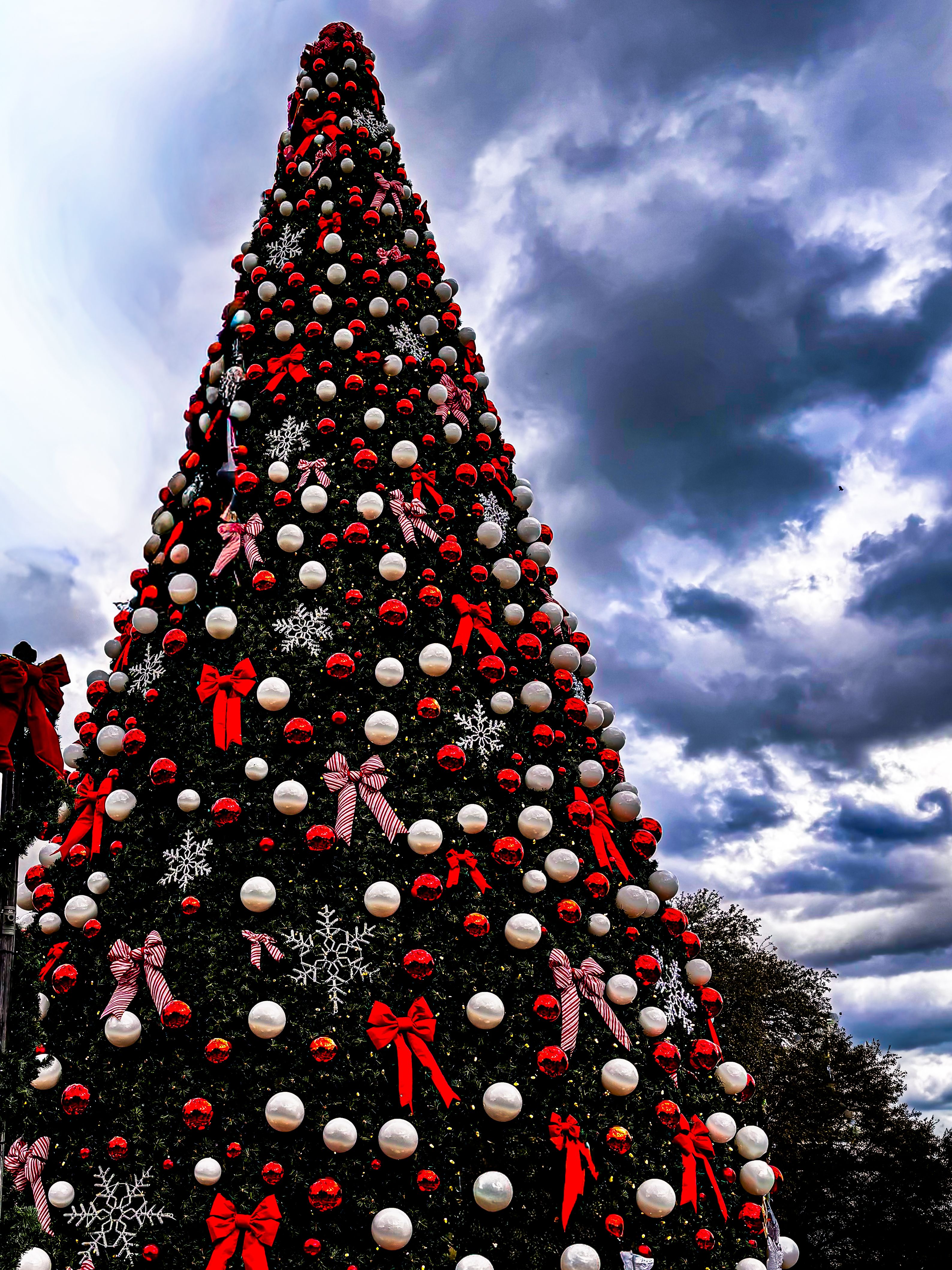 florida digital marketing