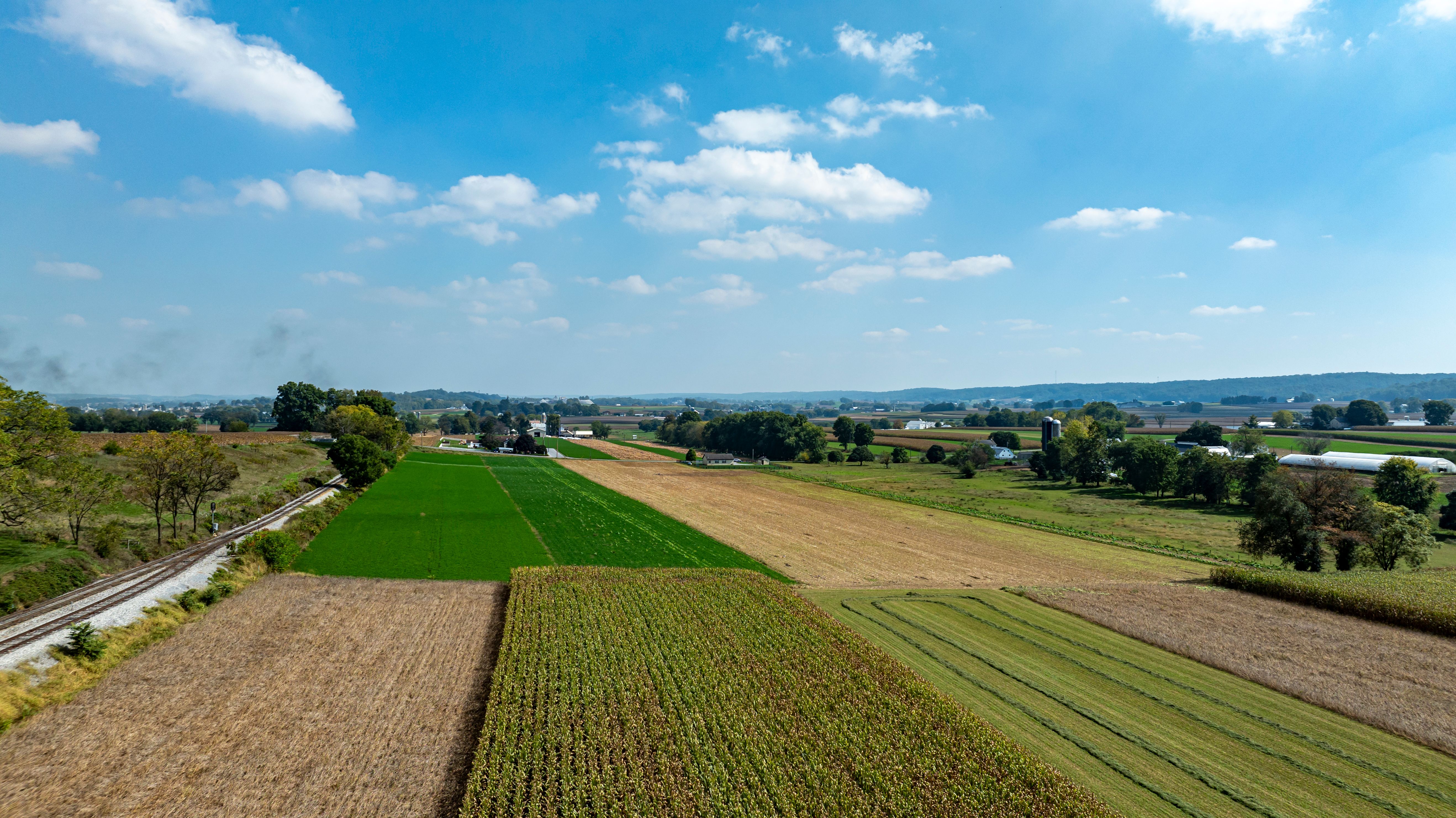 crop rotation