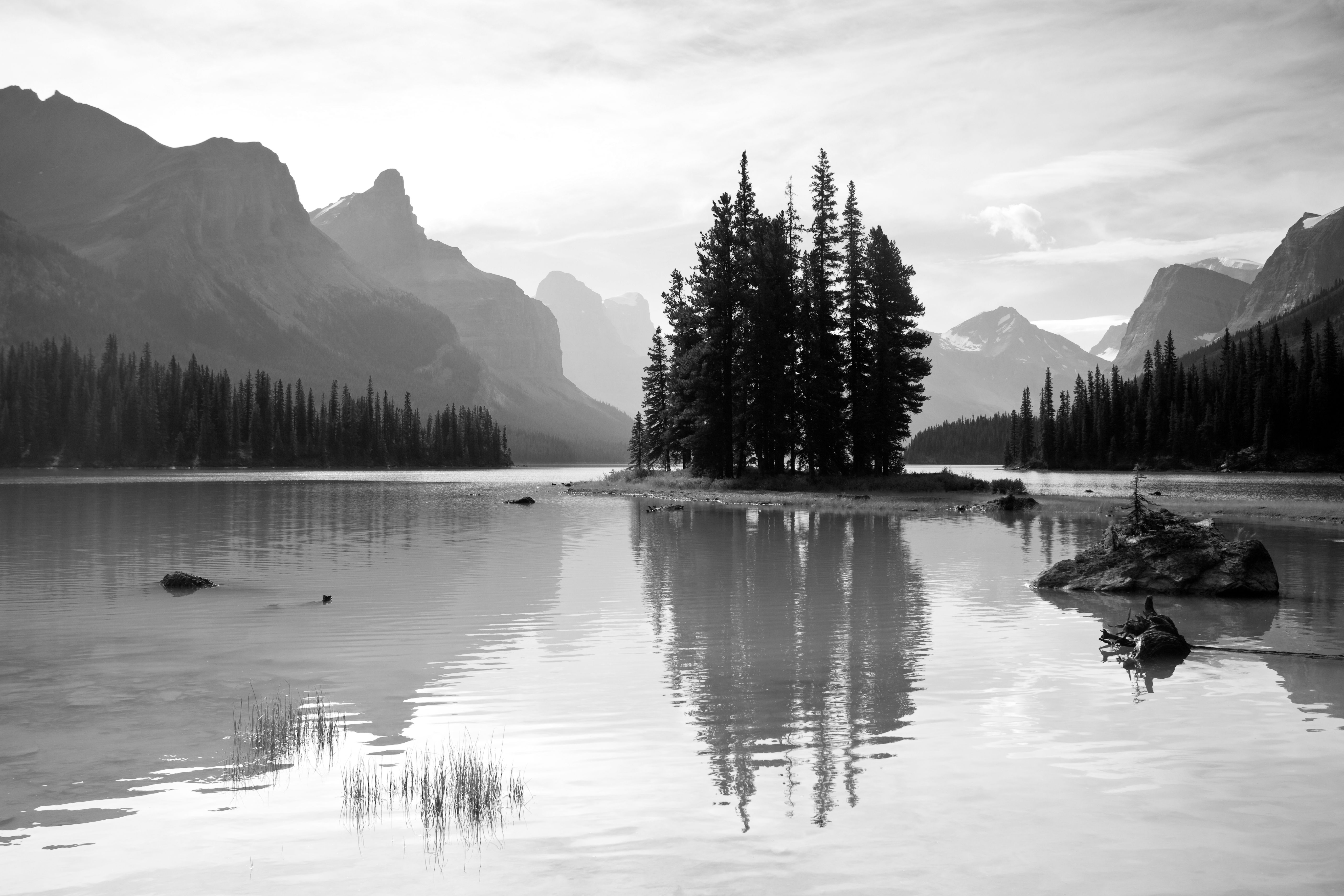 black and white landscape