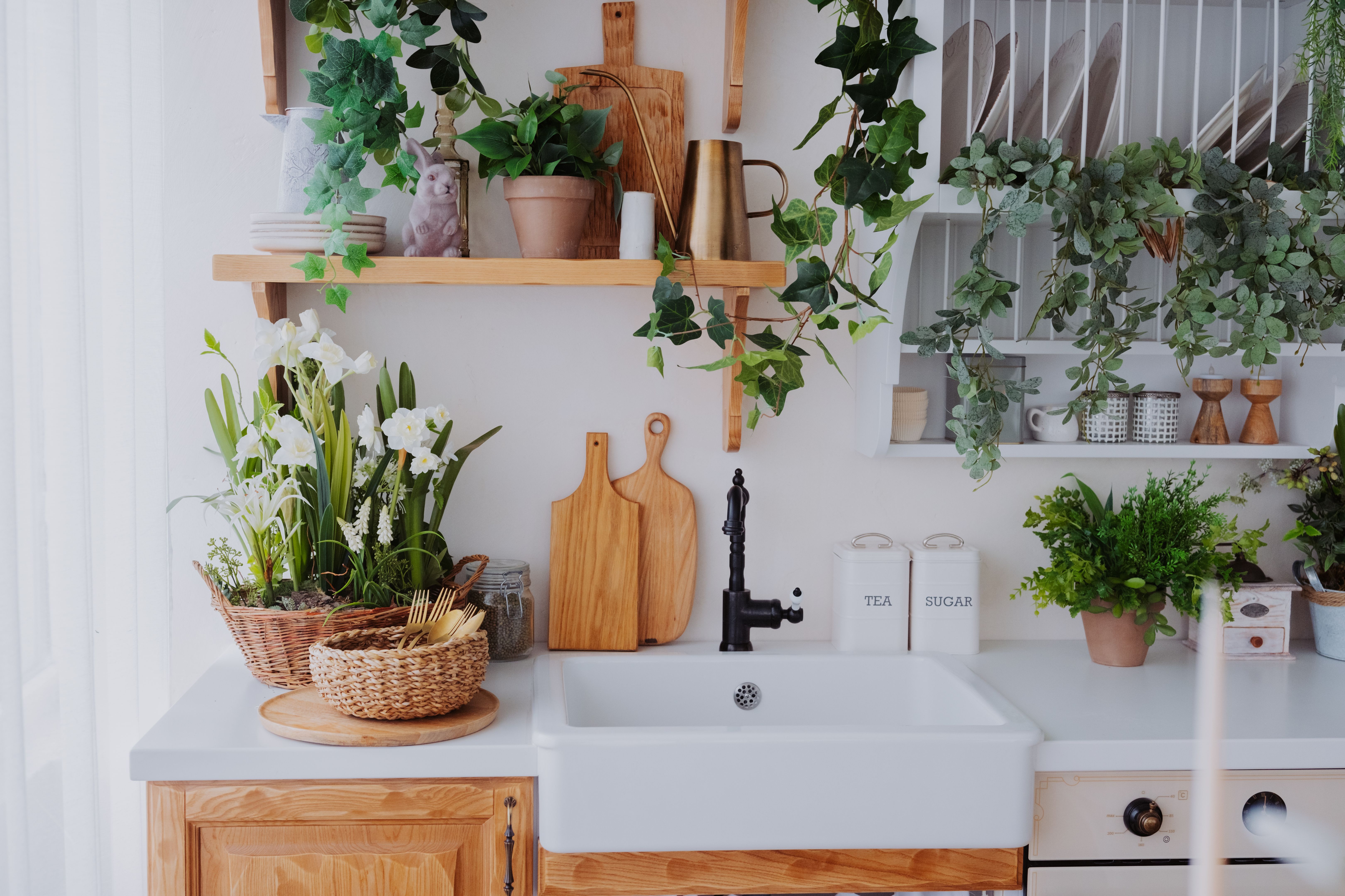 kitchen greenery
