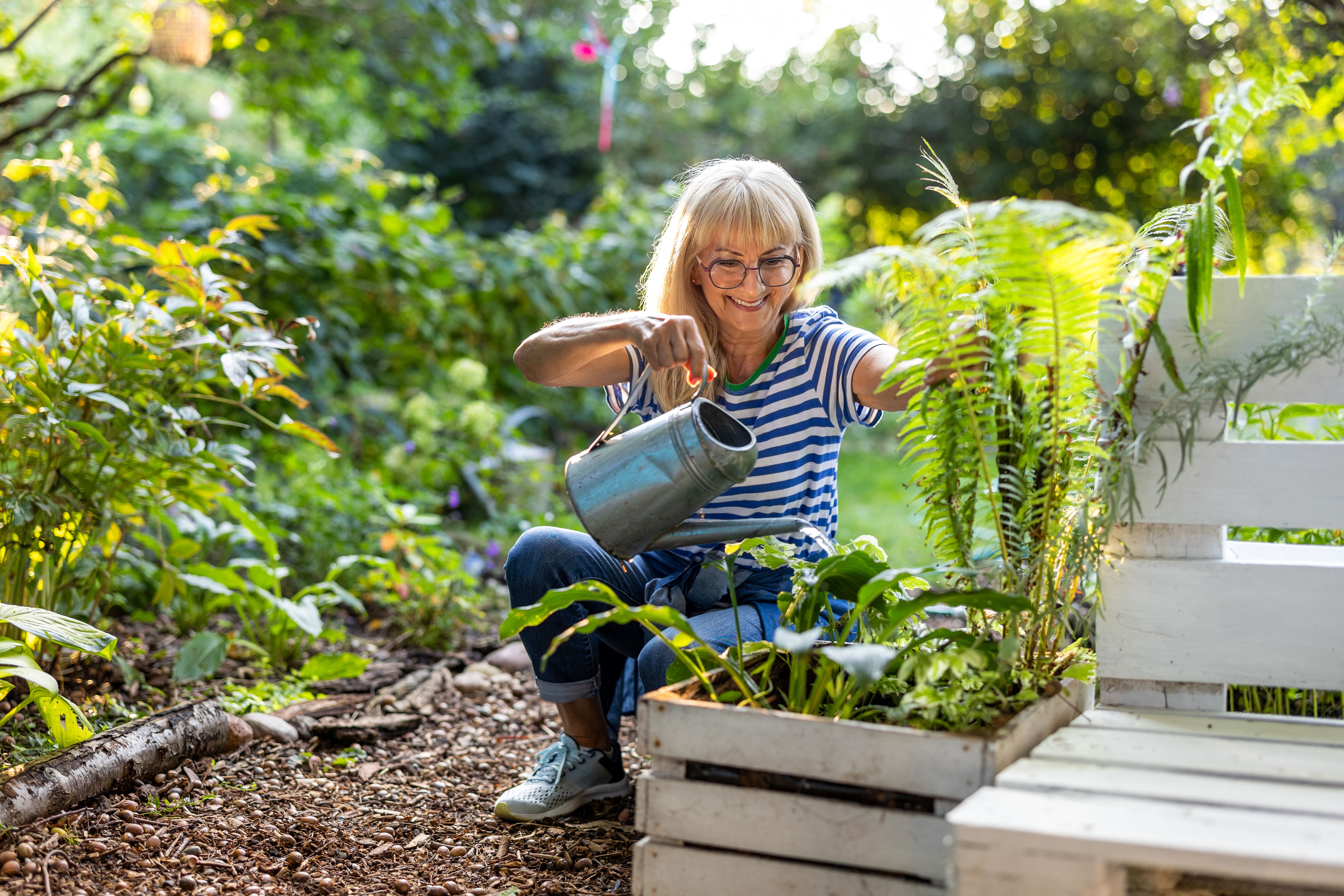 seniors gardening
