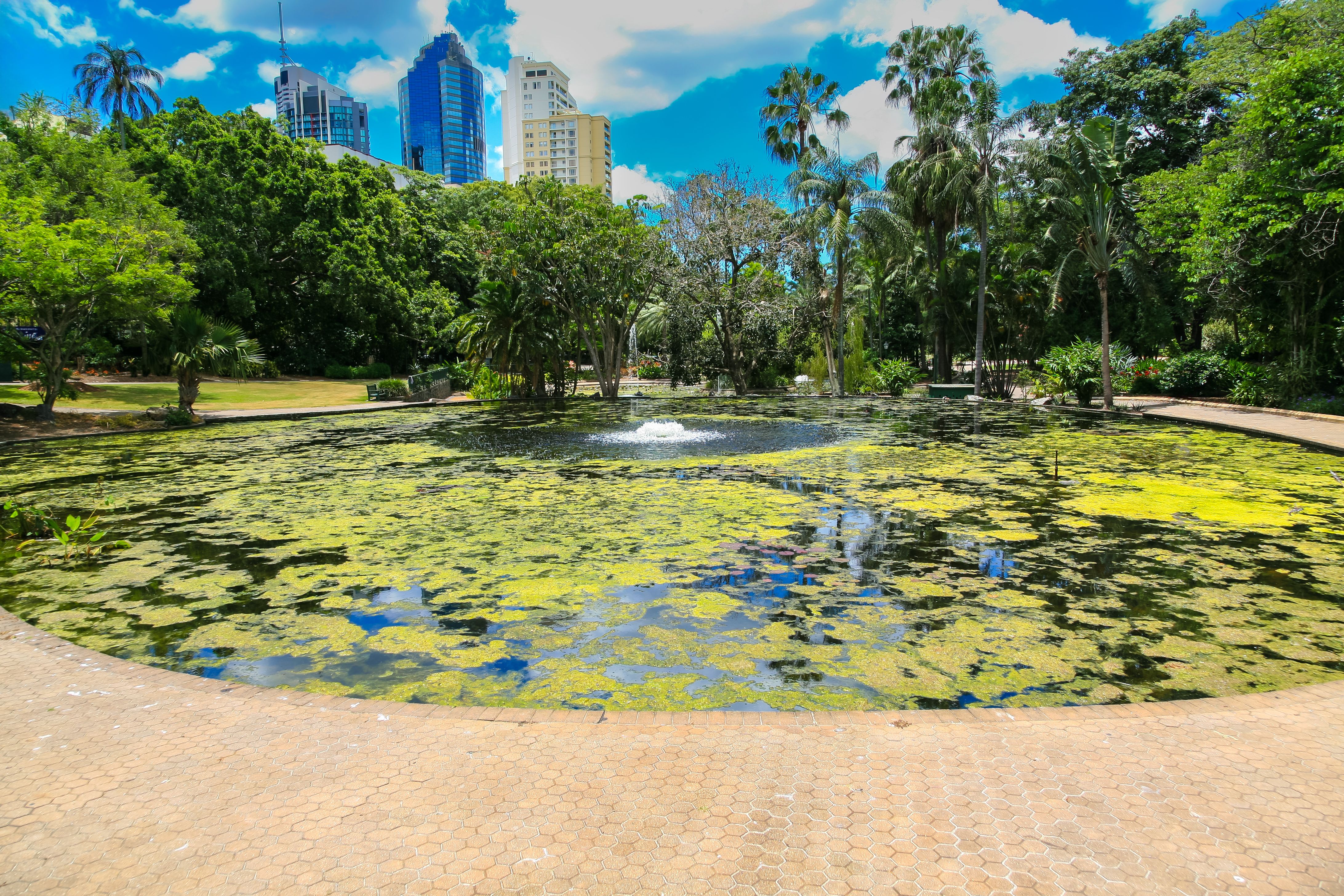 brisbane botanic gardens
