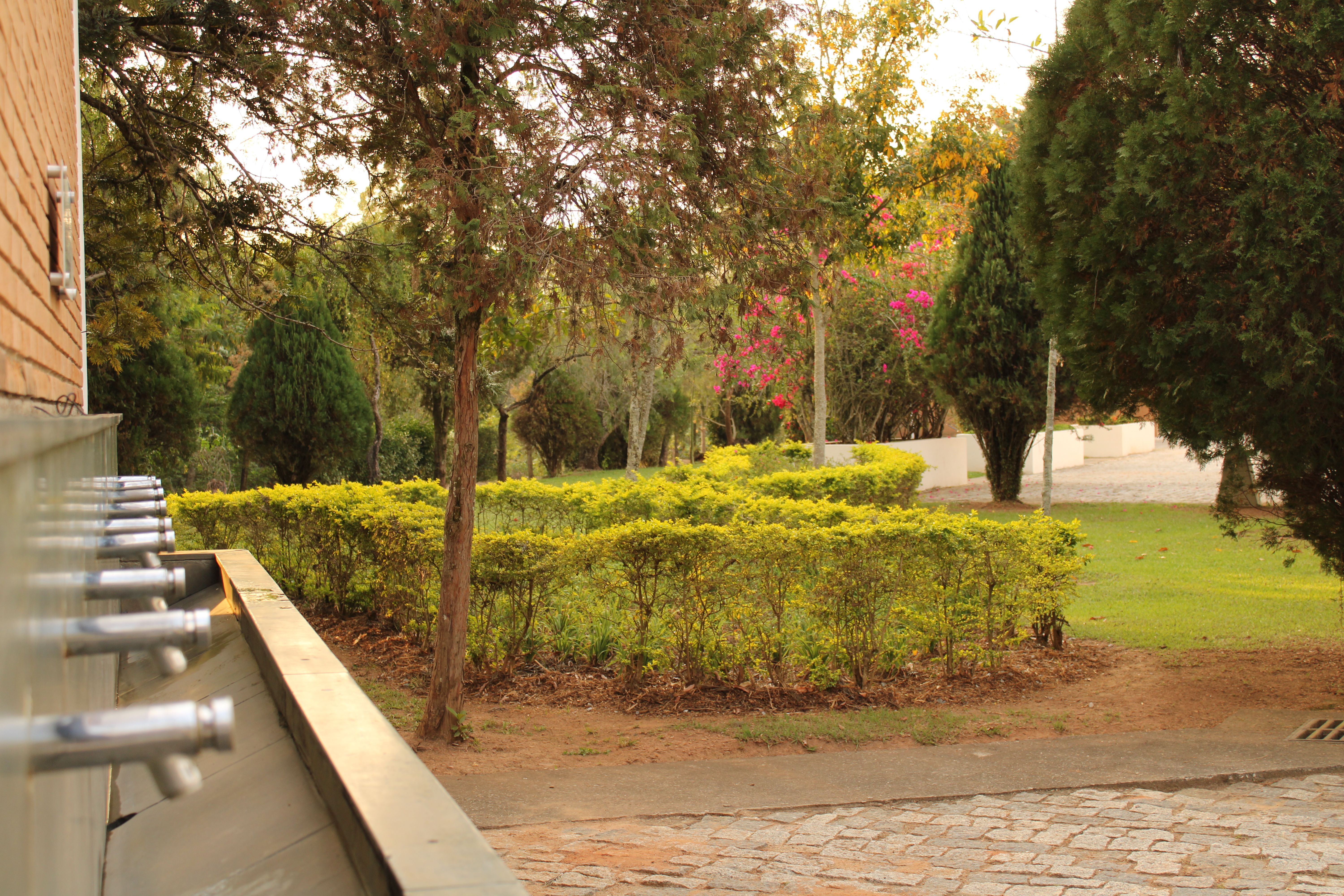 jardim manutenção externa