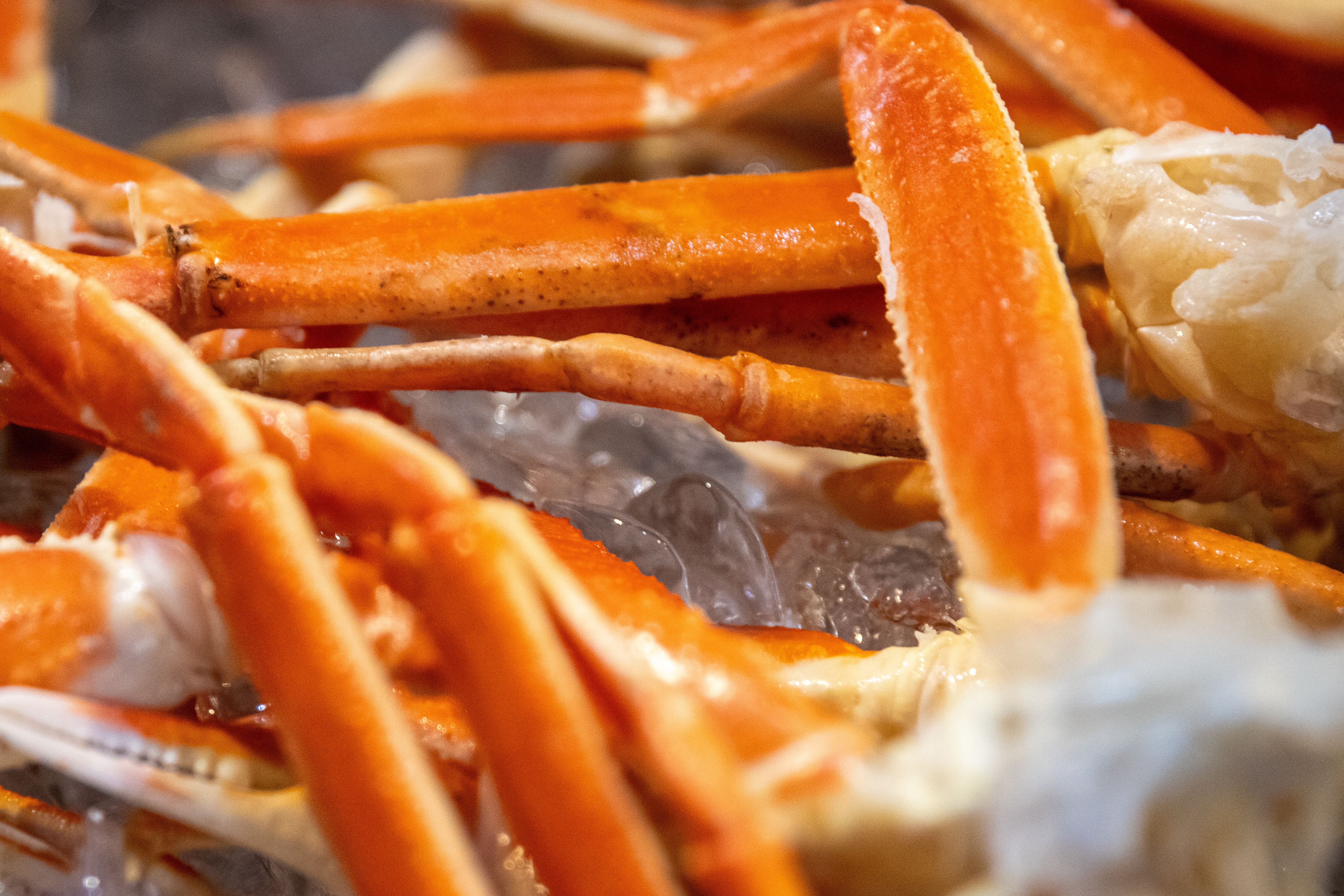 korean bbq ingredients