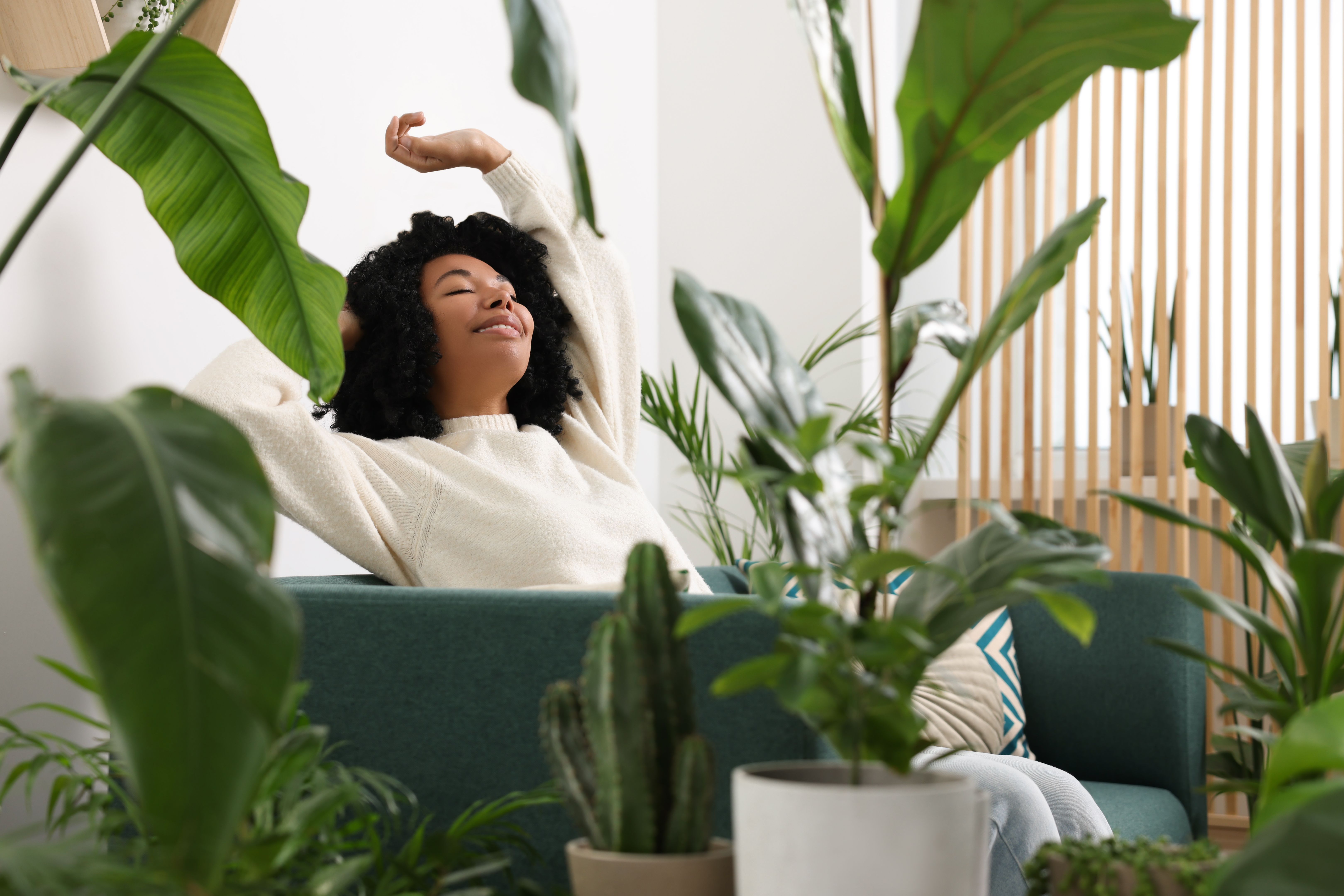 healthy home living